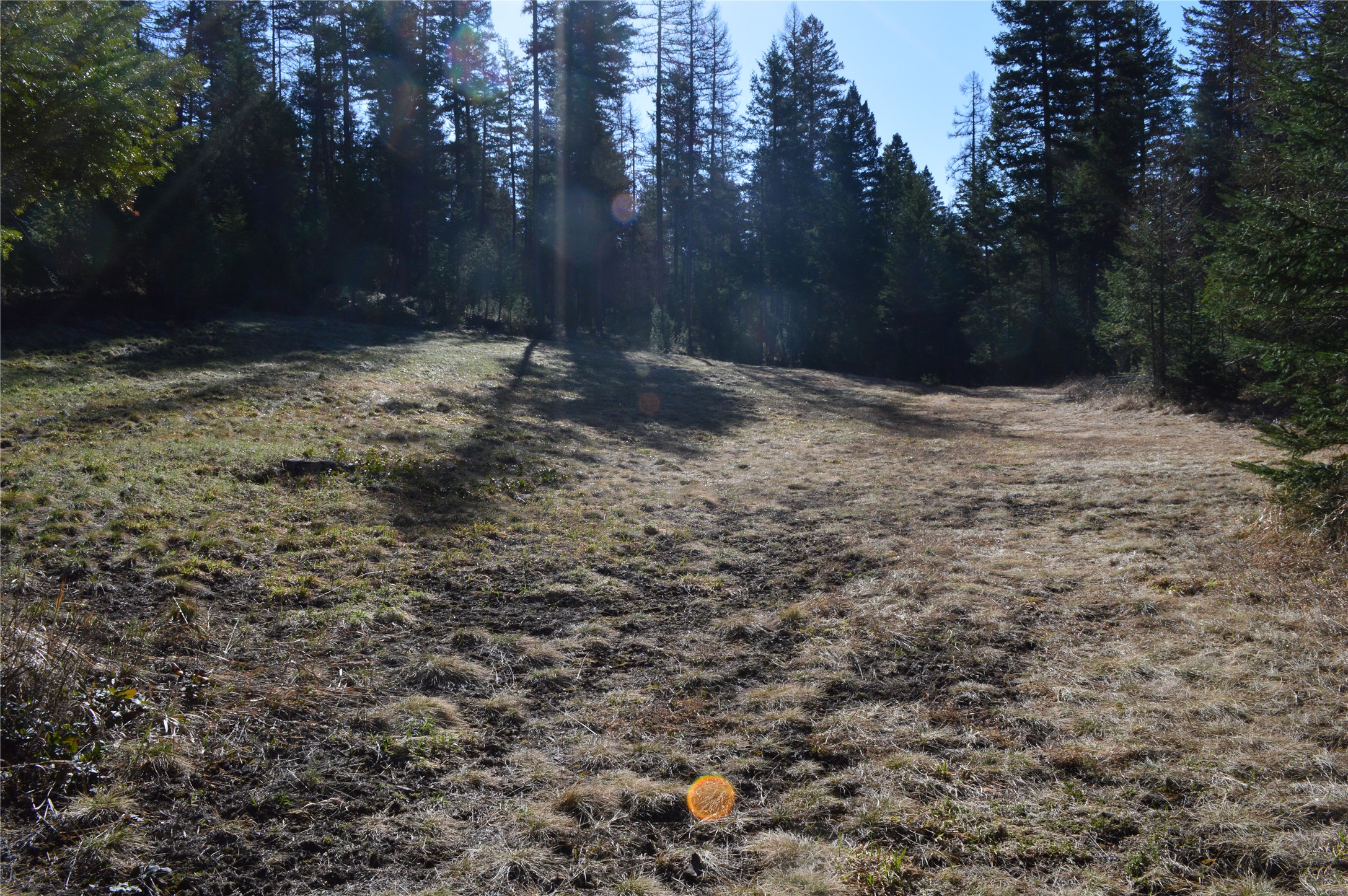 772 Rifle Range Road Property Photo 8