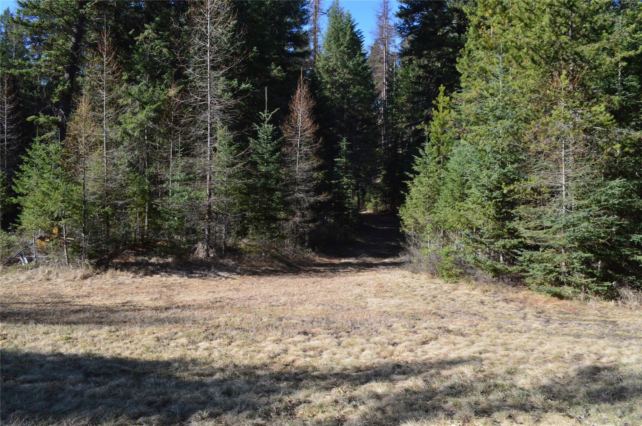 772 Rifle Range Road Property Photo 9