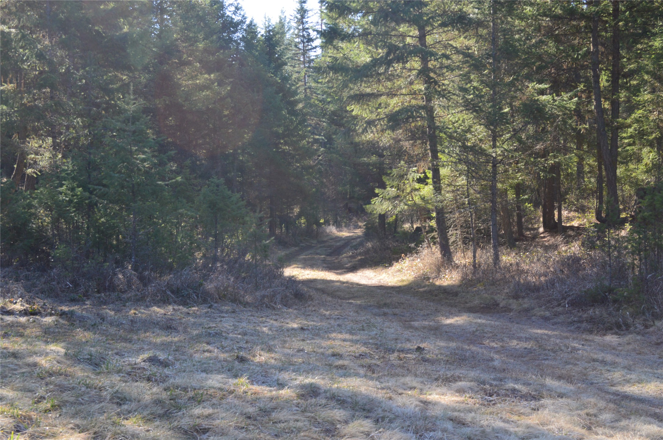 772 Rifle Range Road Property Photo 10