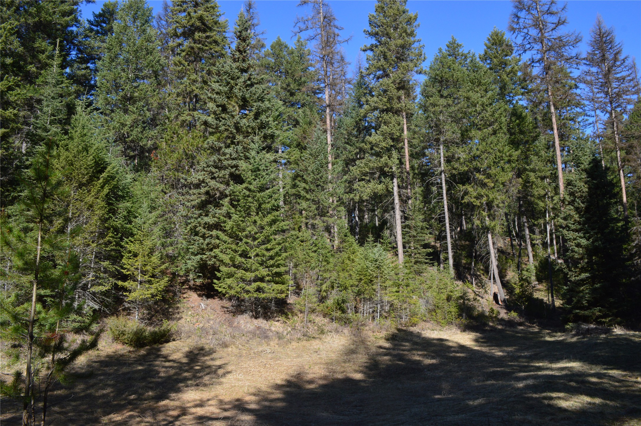772 Rifle Range Road Property Photo 12