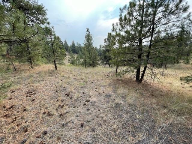 Tbd Mountain Home Lane Property Photo 8