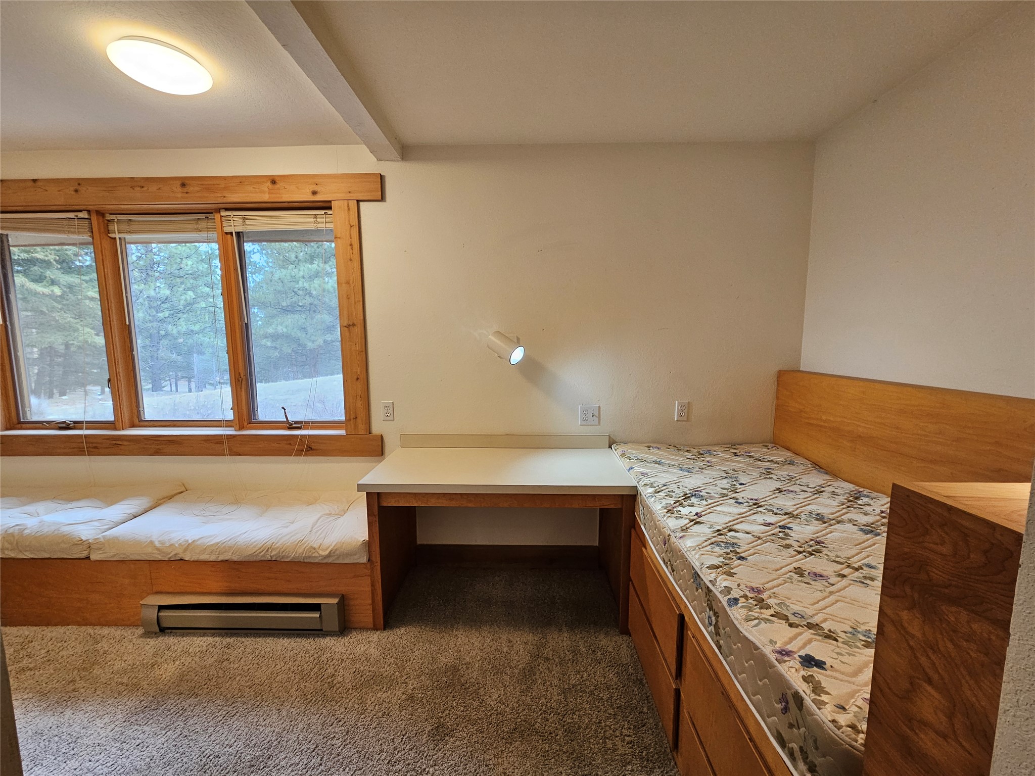 645 Alvista Loop Property Photo 20