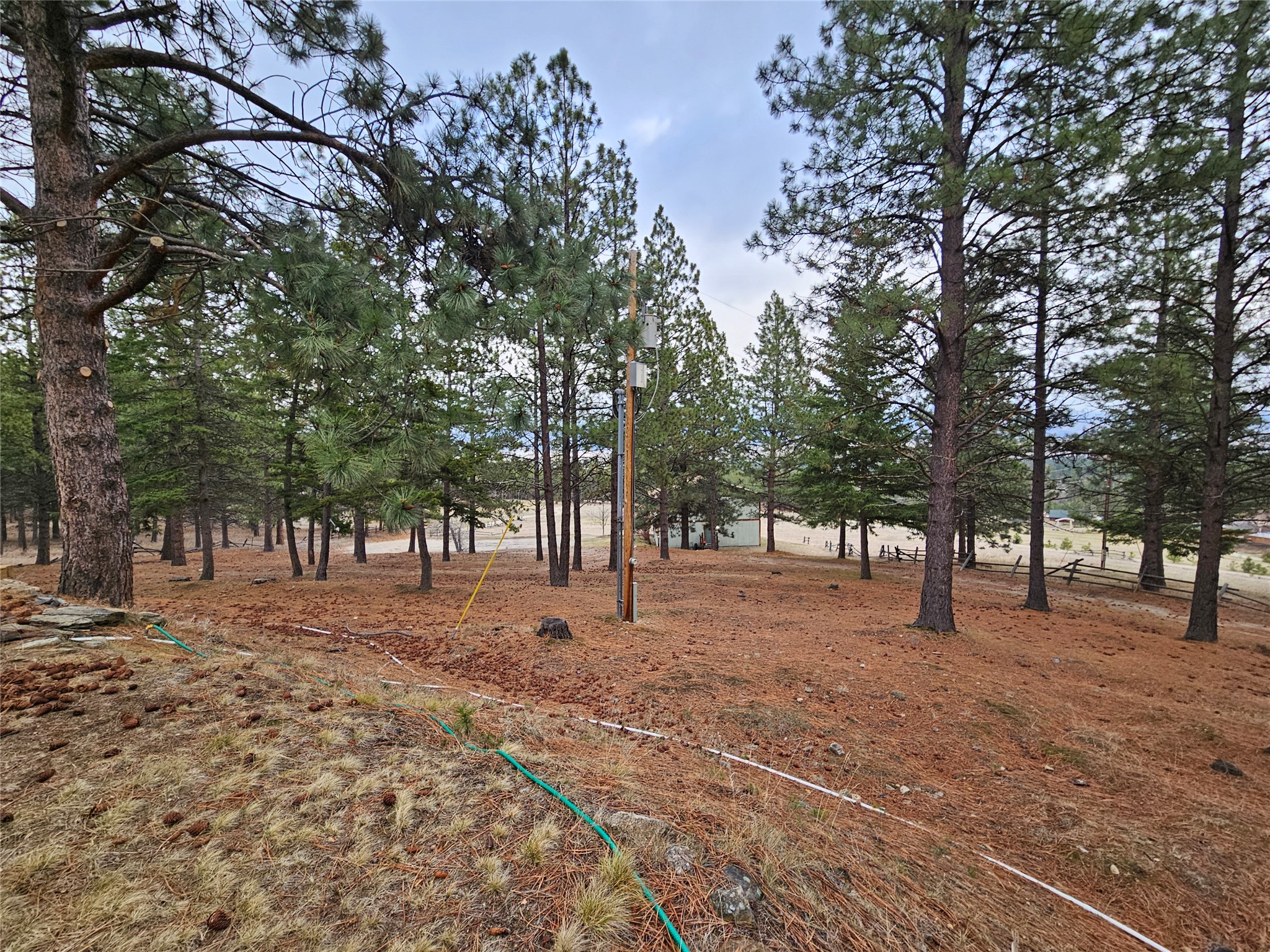 645 Alvista Loop Property Photo 39