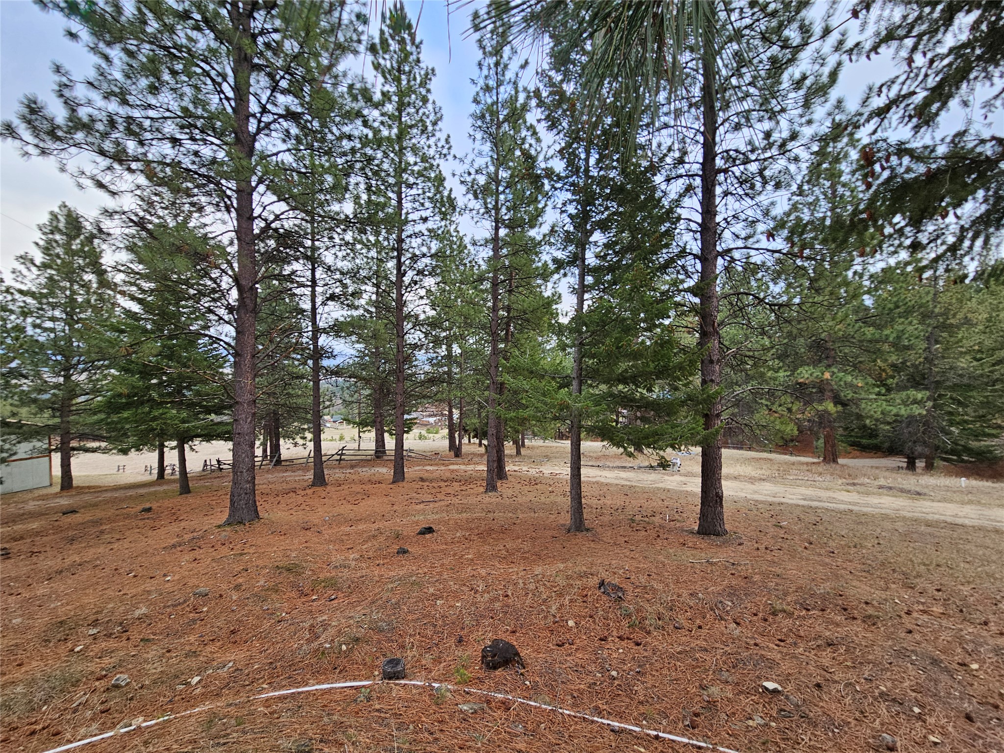 645 Alvista Loop Property Photo 40