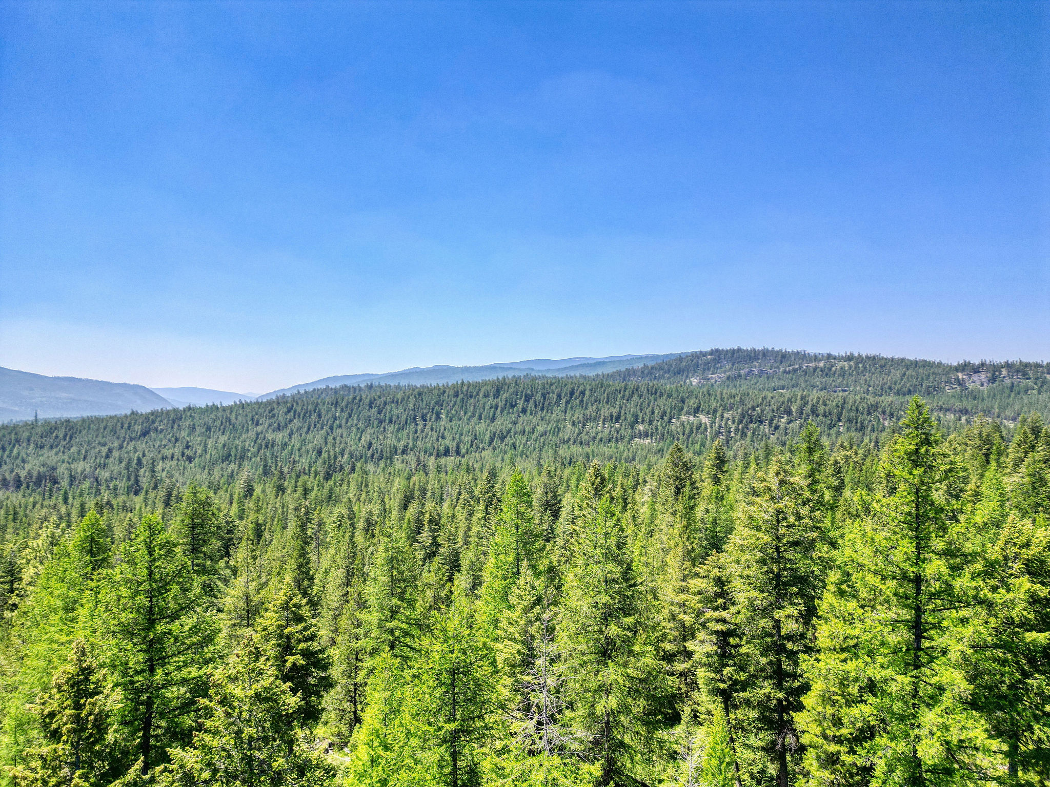 1047 View Ridge Property Photo 8