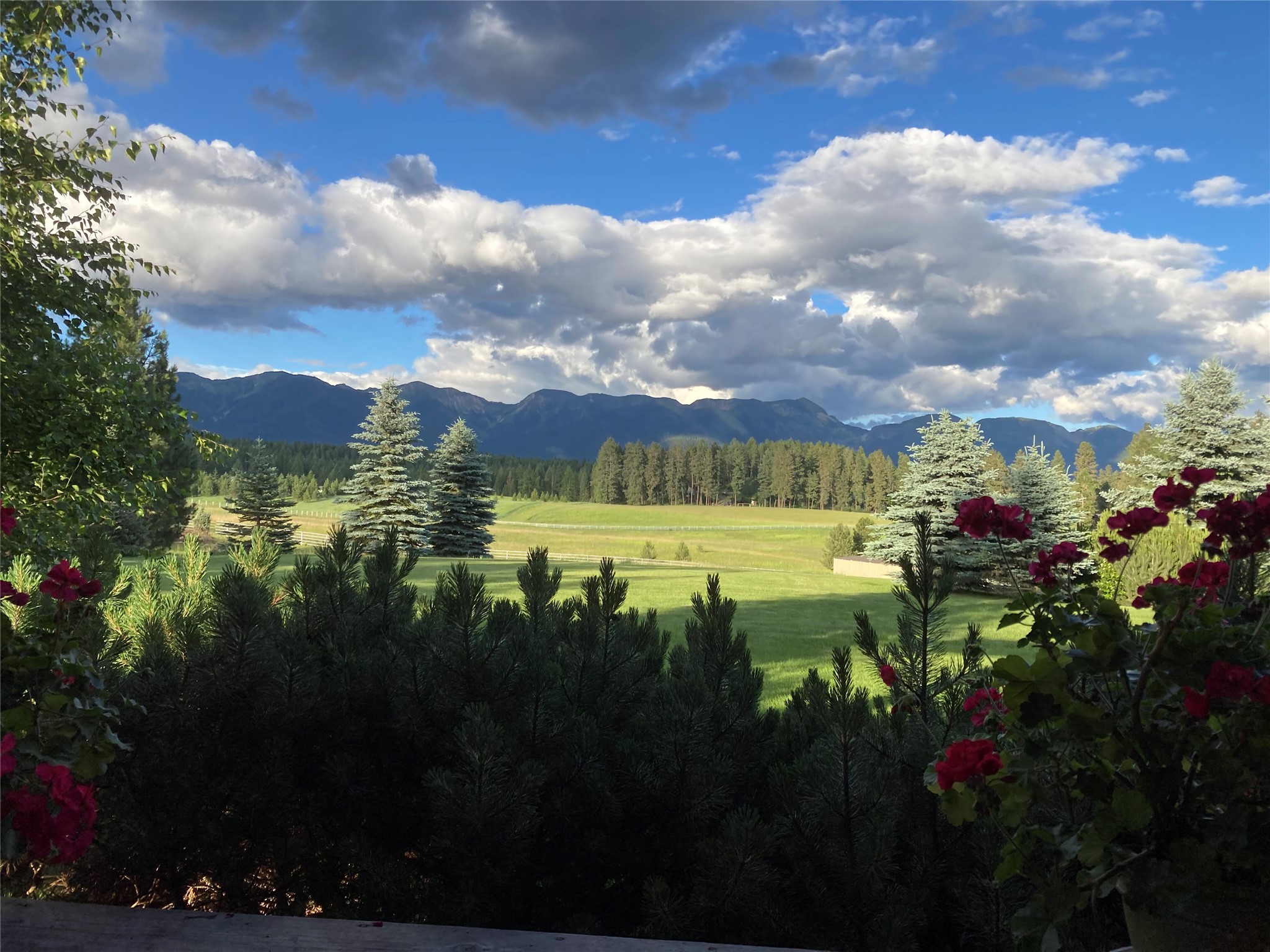 182 Moondance Trail Property Photo 16