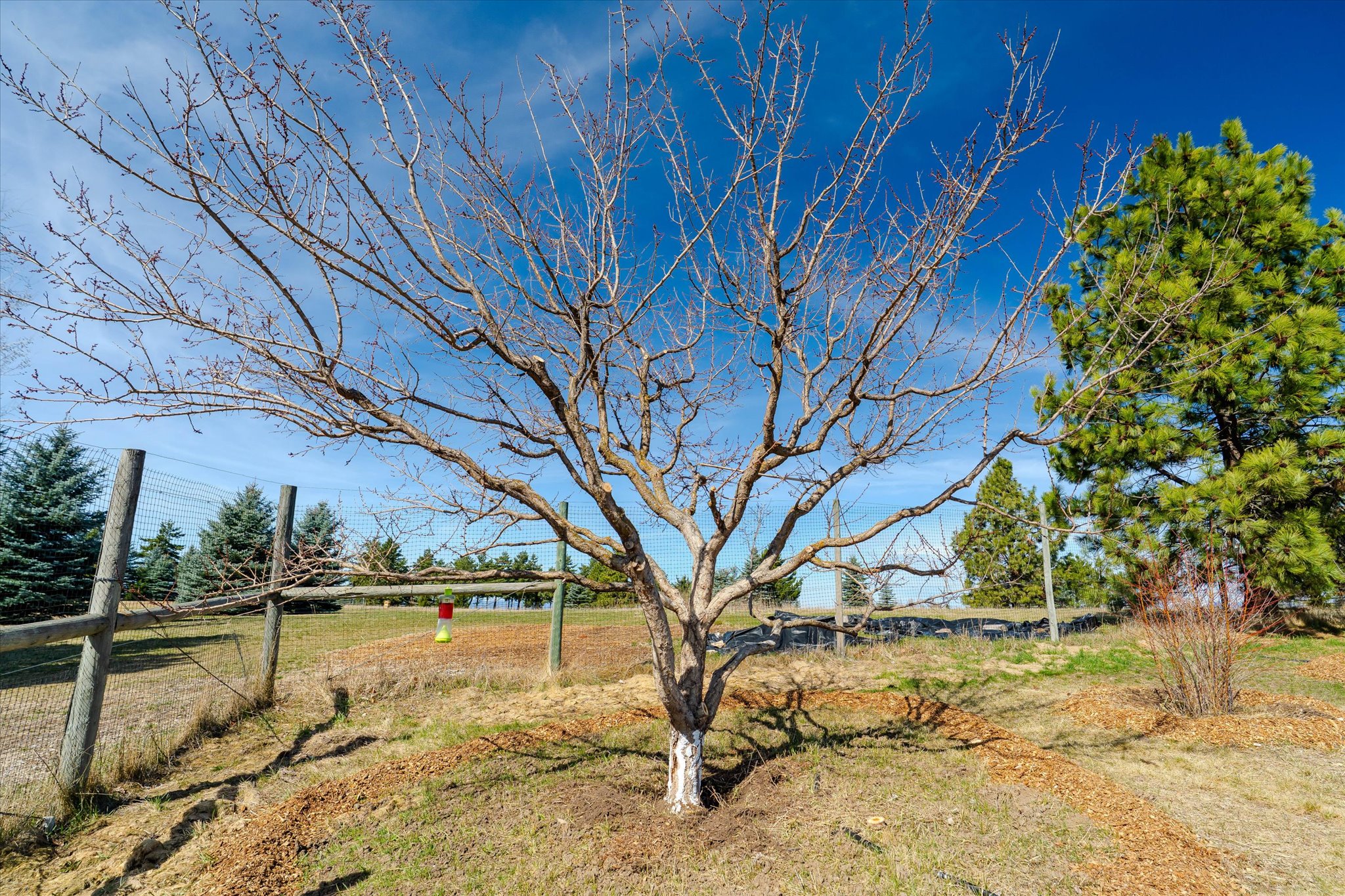 182 Moondance Trail Property Photo 40
