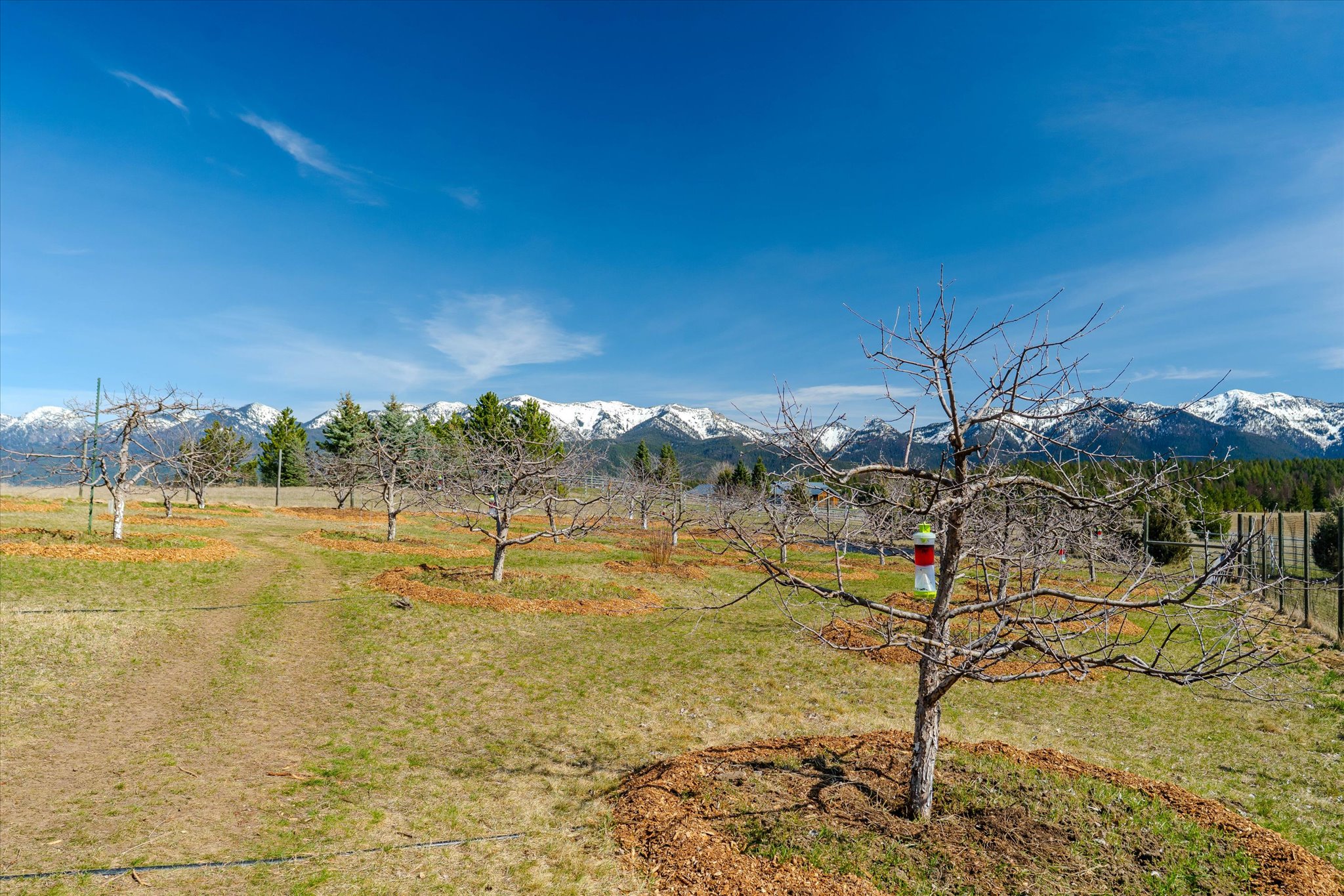 182 Moondance Trail Property Photo 41