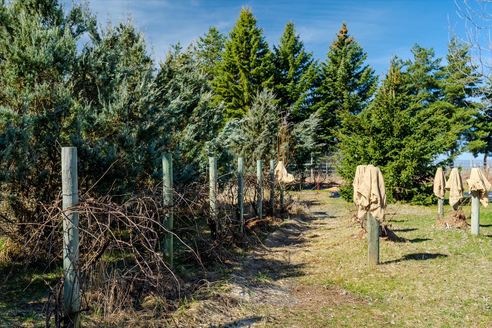 182 Moondance Trail Property Photo 49