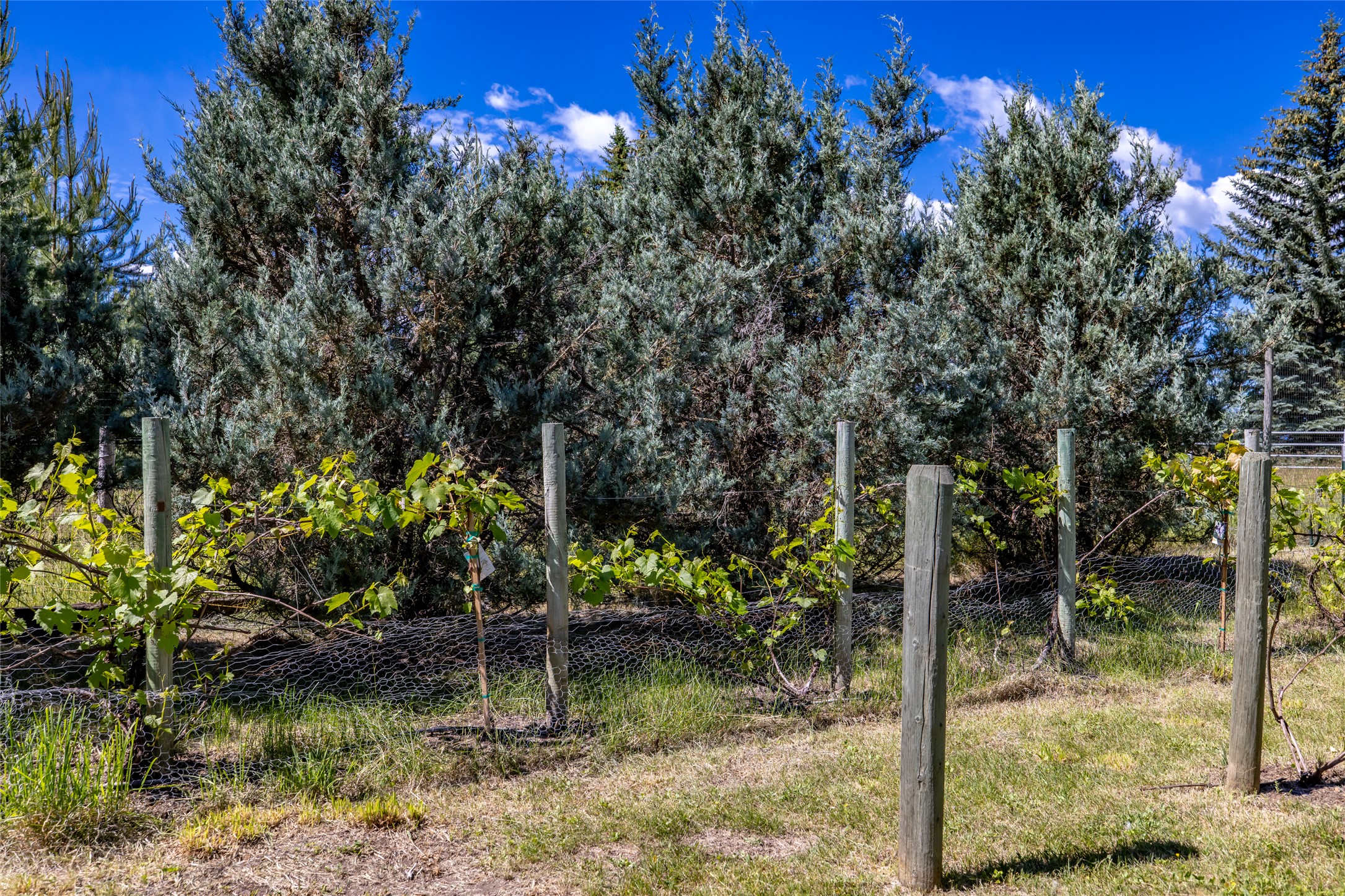 182 Moondance Trail Property Photo 79