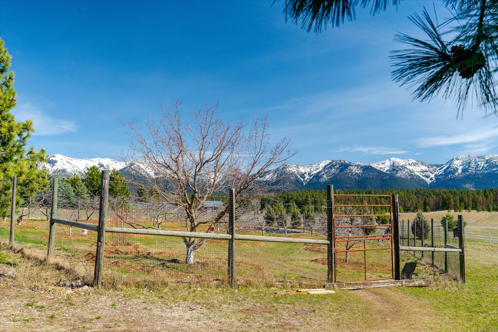 182 Moondance Trail Property Photo 80