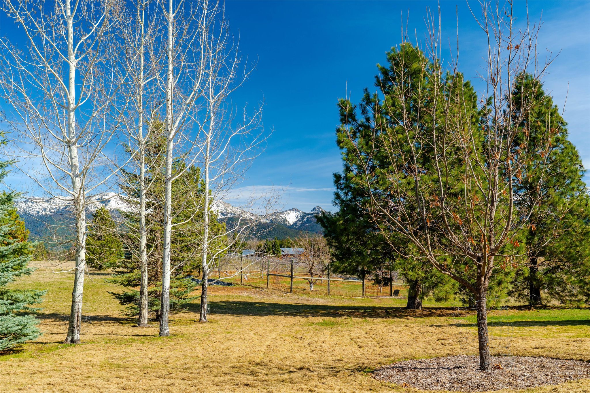 182 Moondance Trail Property Photo 83
