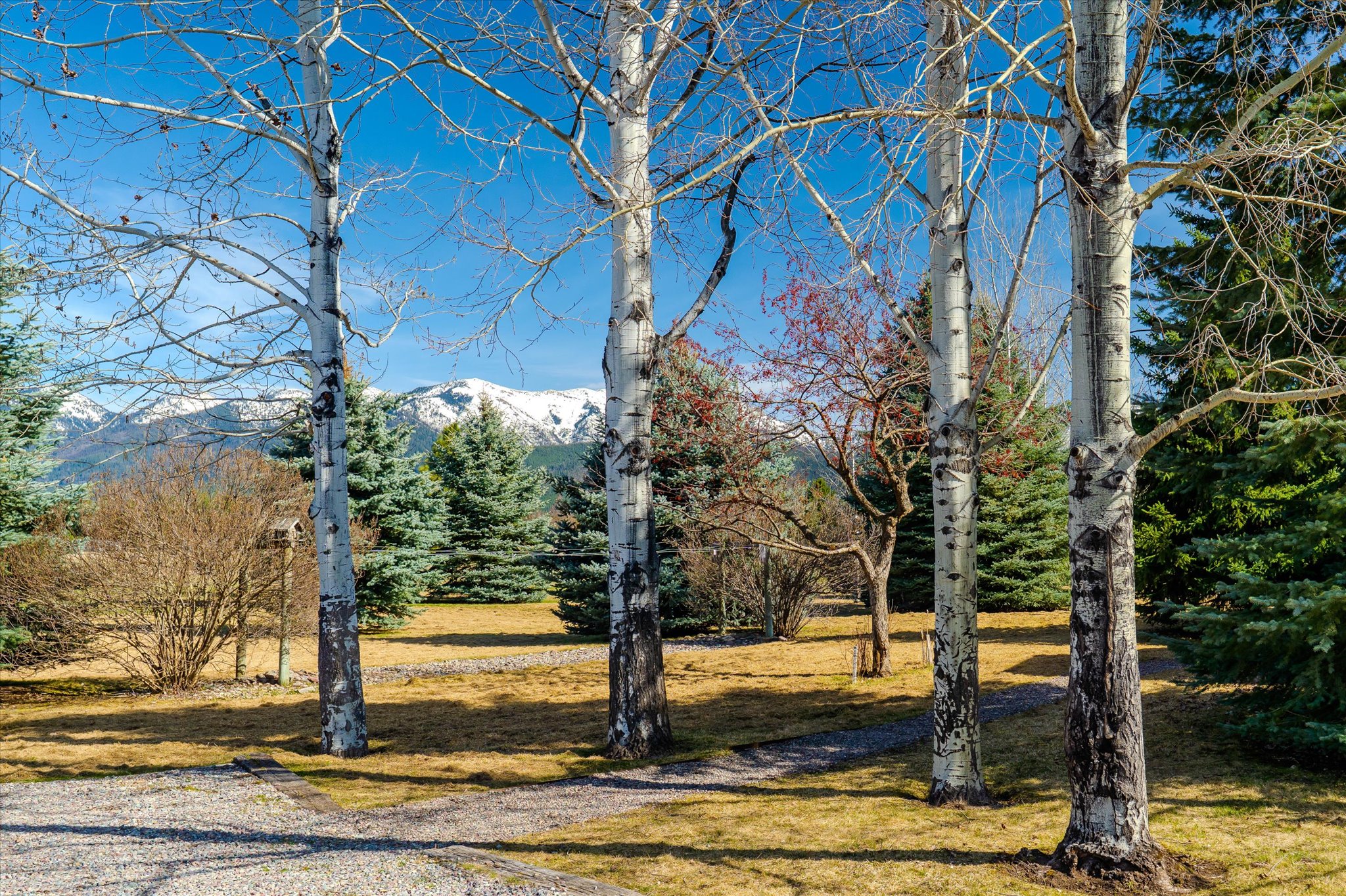 182 Moondance Trail Property Photo 84