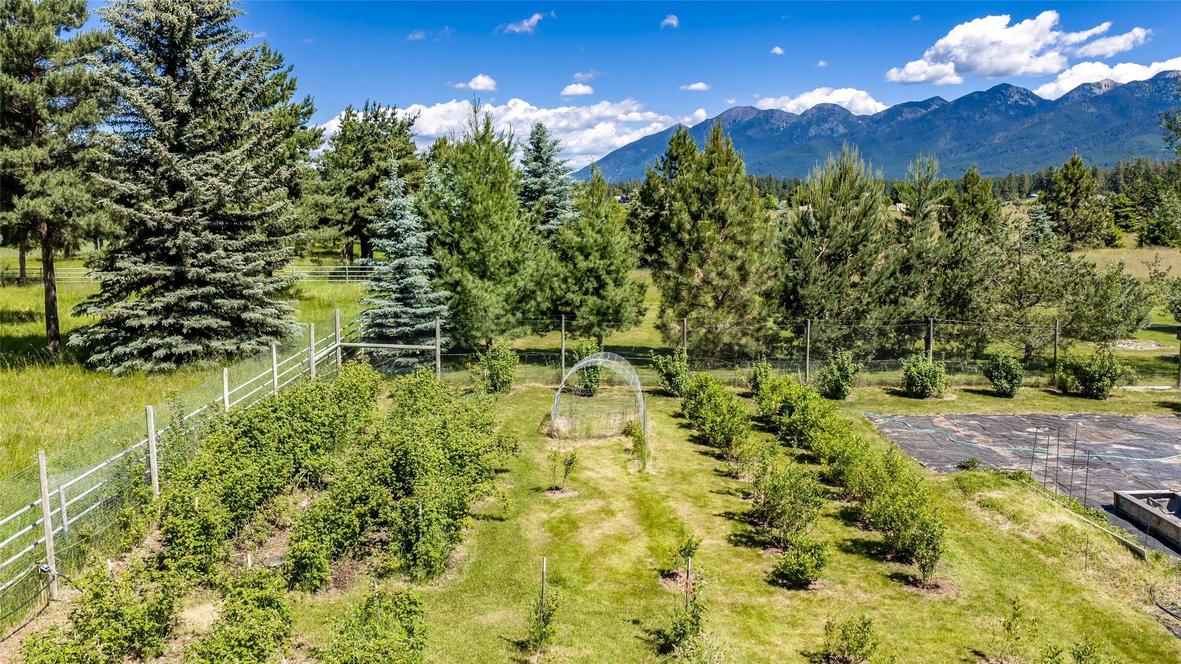 182 Moondance Trail Property Photo 87