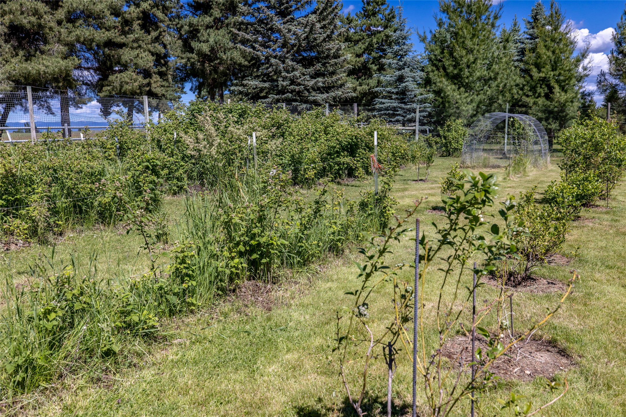 182 Moondance Trail Property Photo 90
