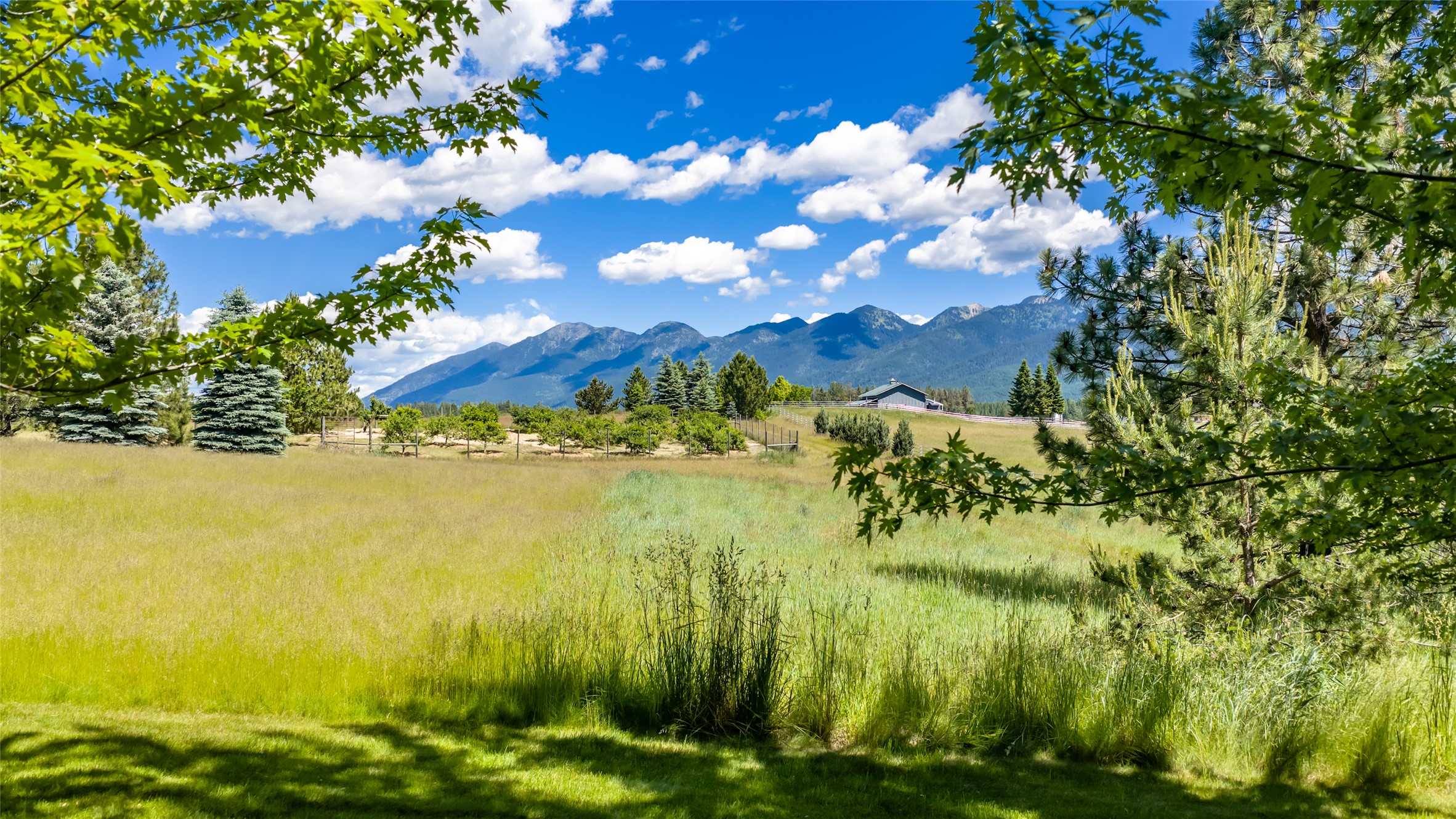182 Moondance Trail Property Photo 91