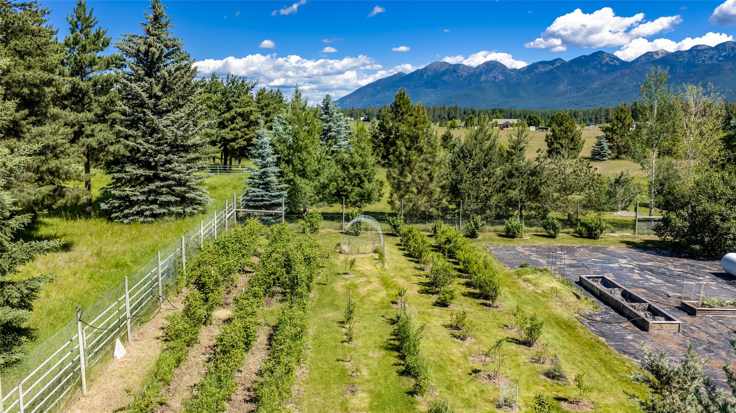 182 Moondance Trail Property Photo 104