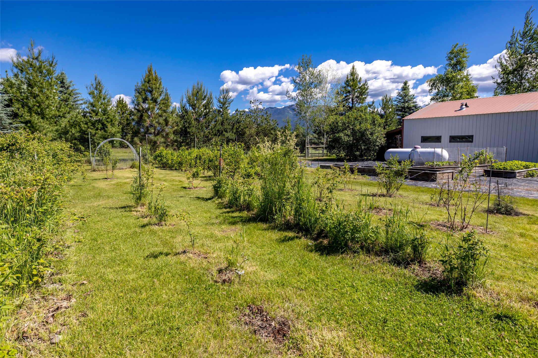 182 Moondance Trail Property Photo 114