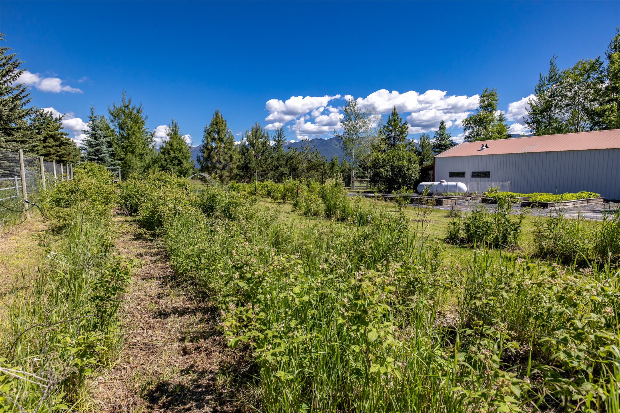 182 Moondance Trail Property Photo 115