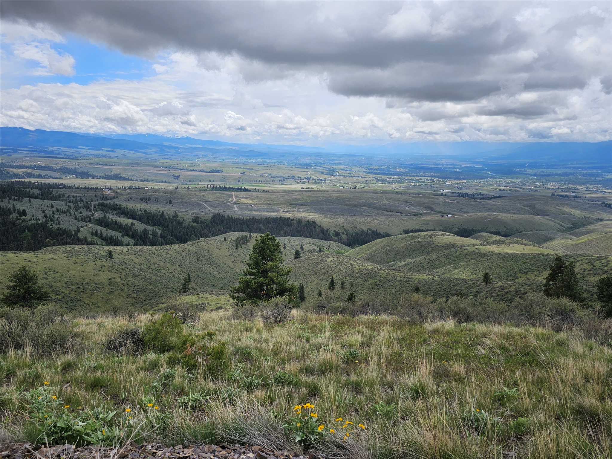 18866 Copper Ridge Trail Property Photo 6