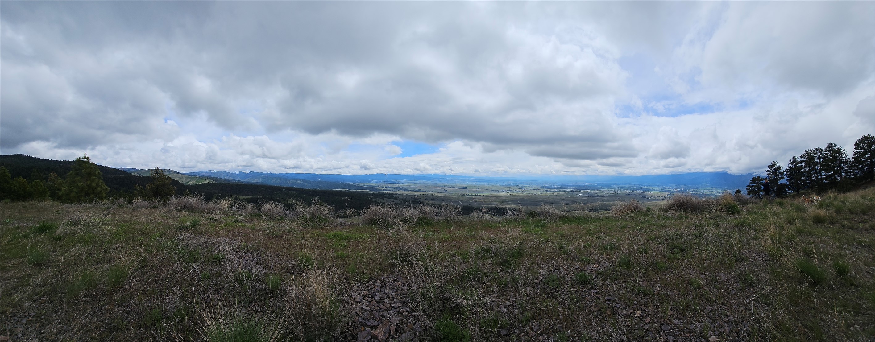 18866 Copper Ridge Trail Property Photo 8