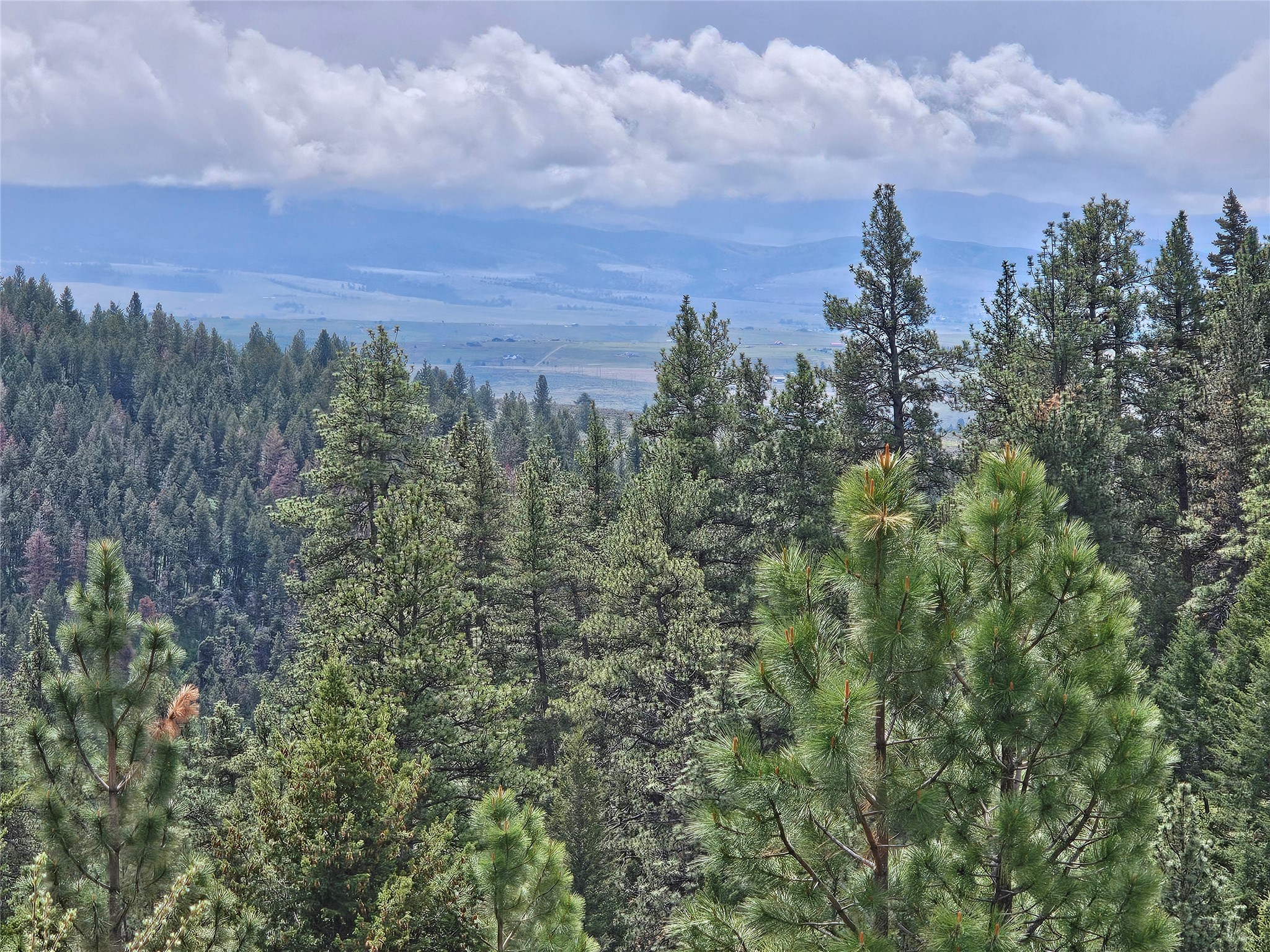 18866 Copper Ridge Trail Property Photo 9