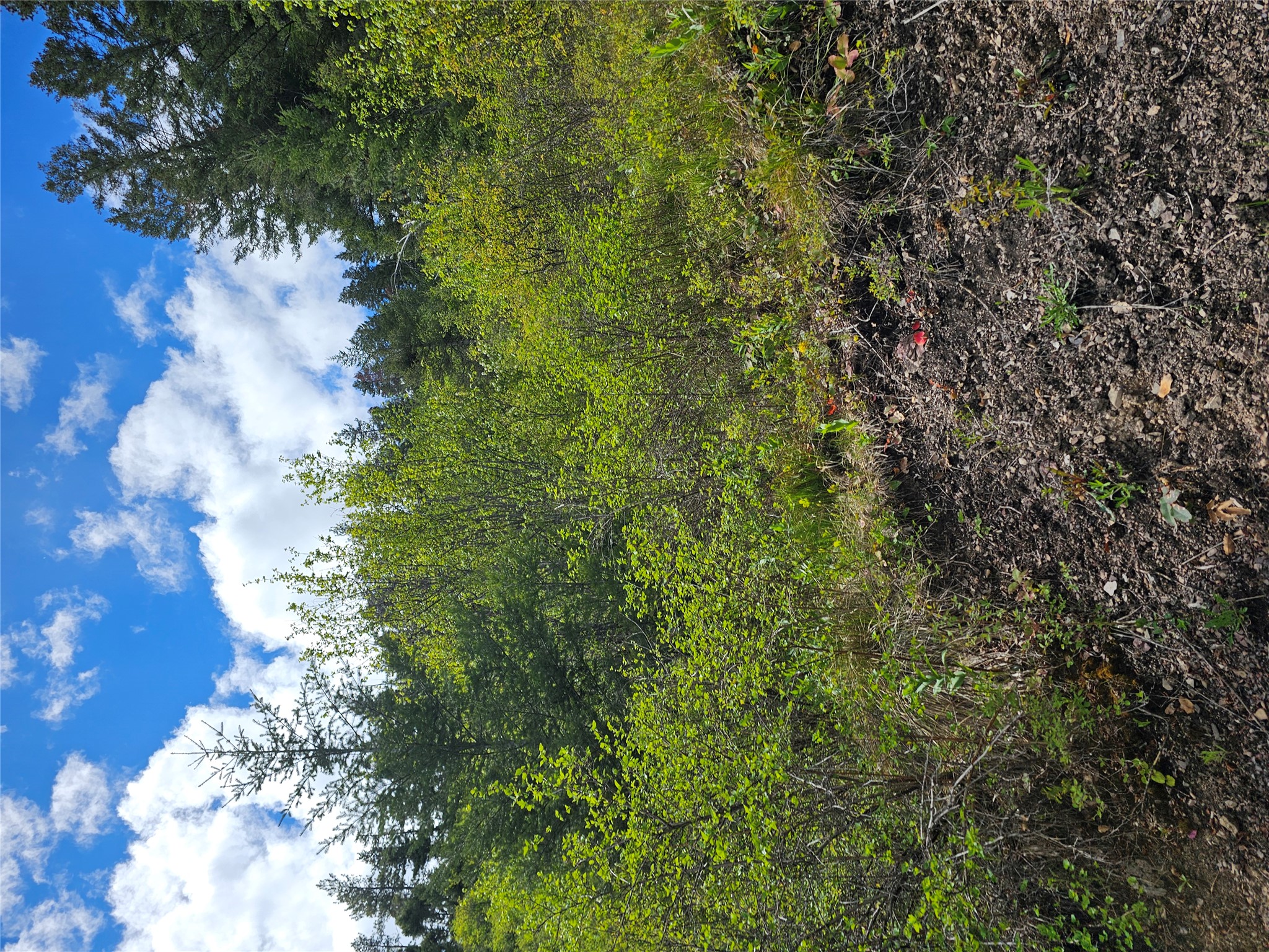 18866 Copper Ridge Trail Property Photo 10