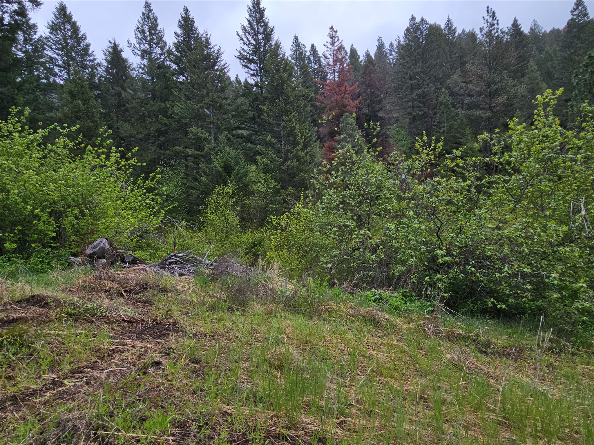 18866 Copper Ridge Trail Property Photo 14
