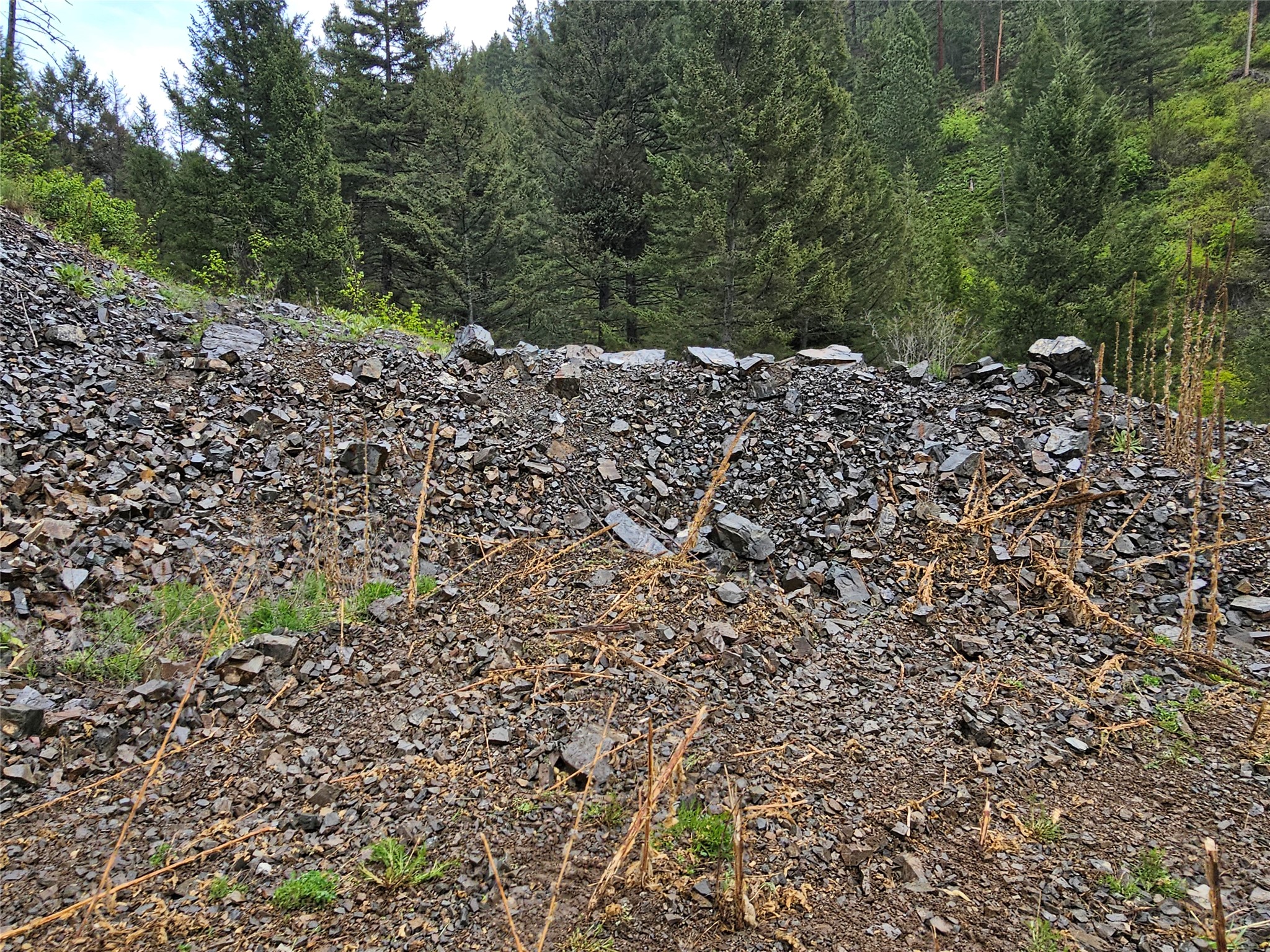 18866 Copper Ridge Trail Property Photo 15