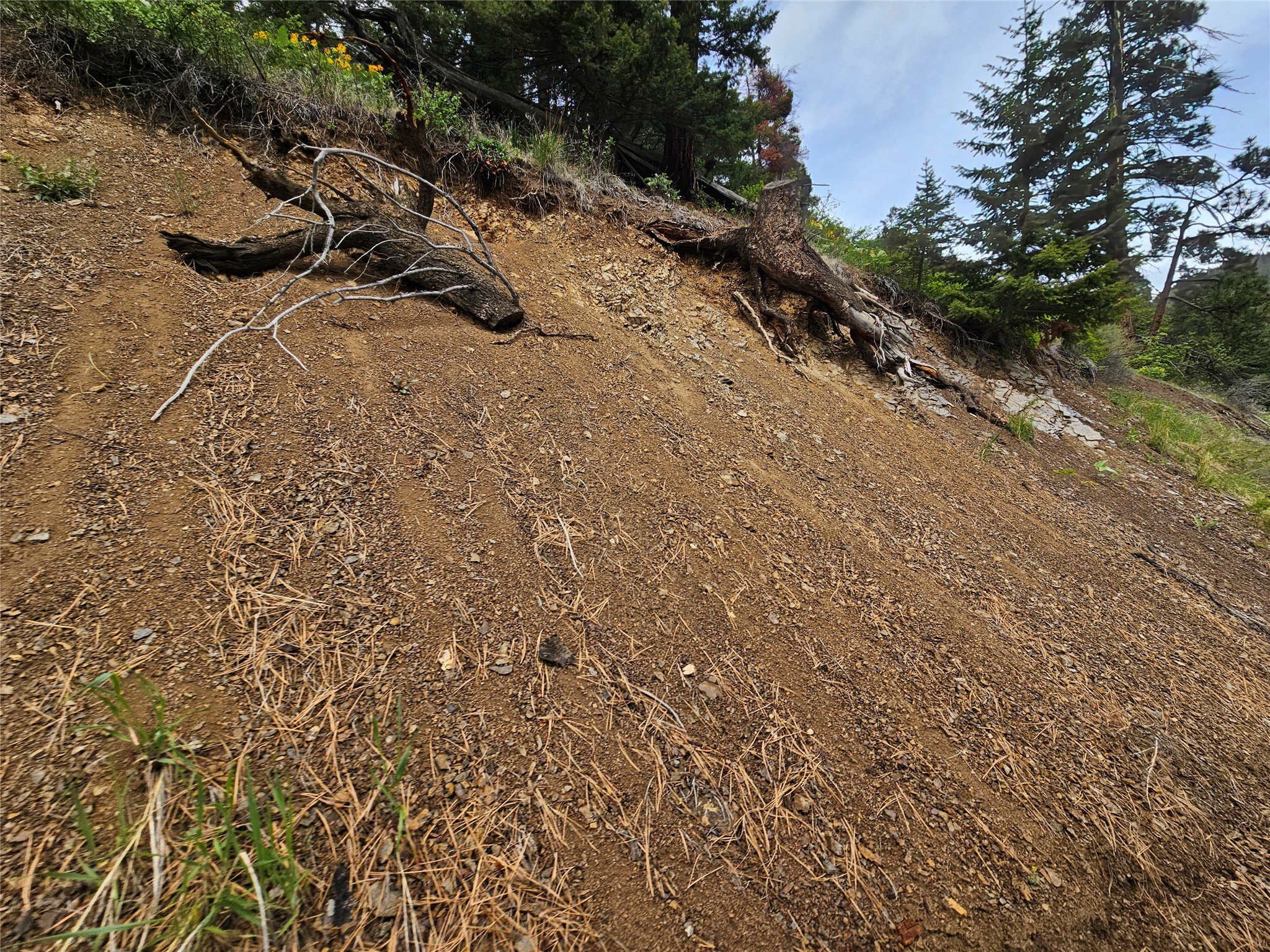 18866 Copper Ridge Trail Property Photo 16
