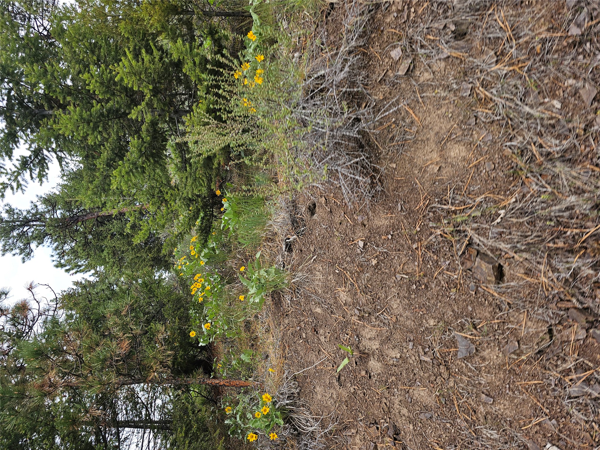 18866 Copper Ridge Trail Property Photo 18