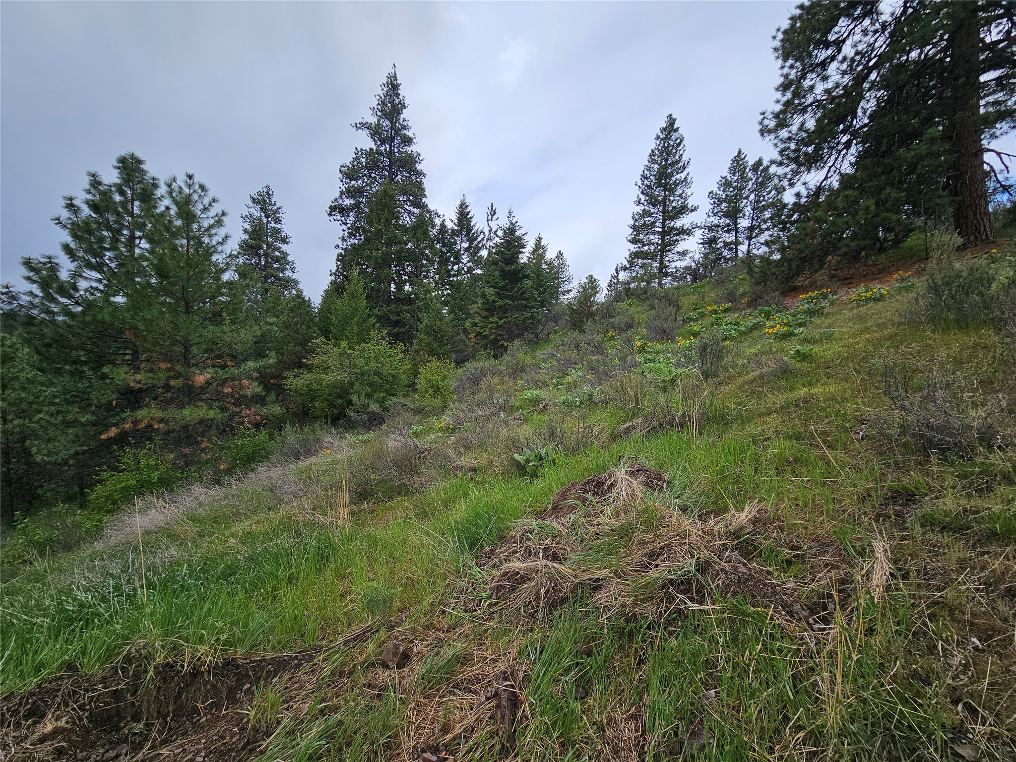 18866 Copper Ridge Trail Property Photo 19