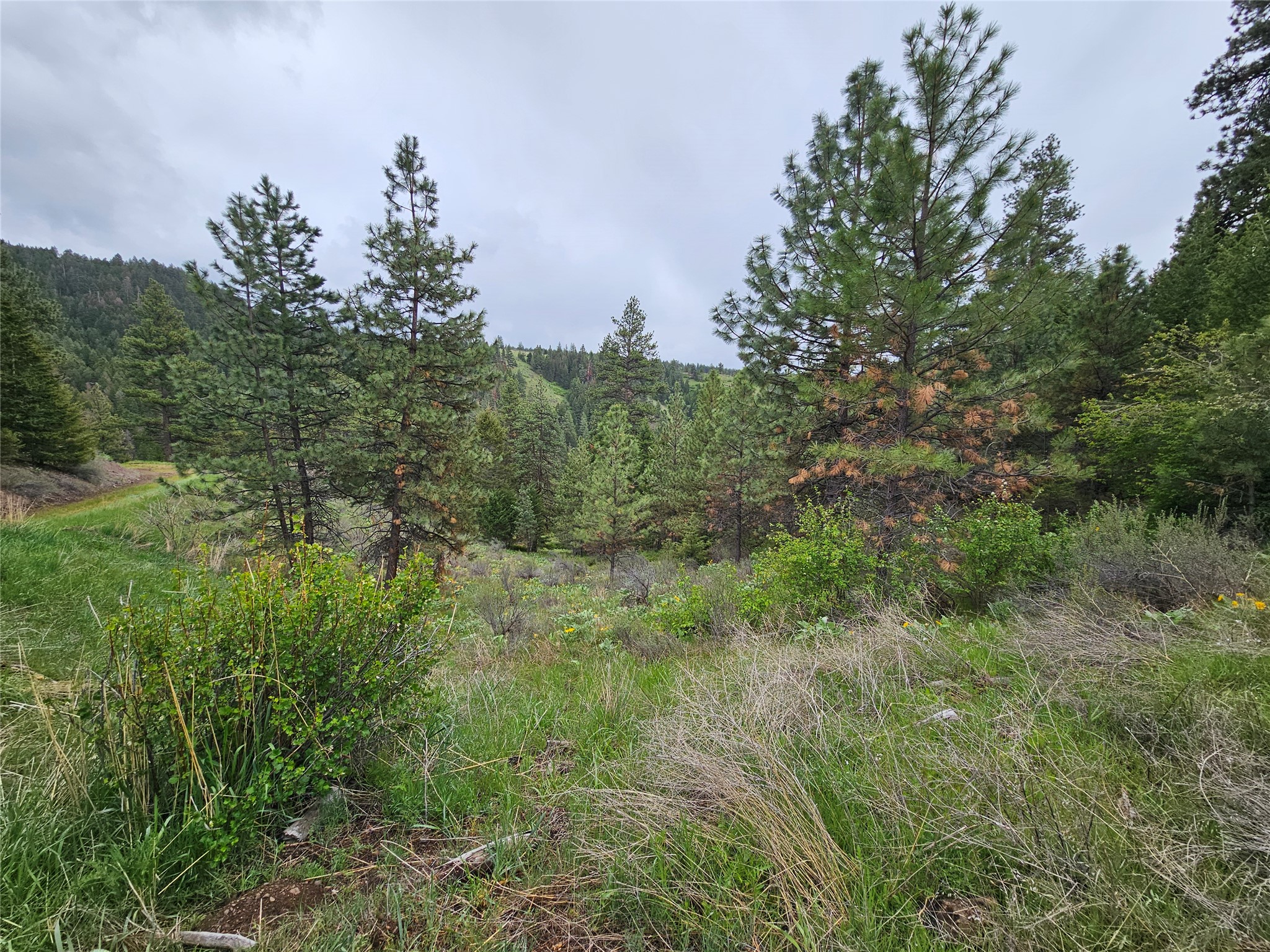 18866 Copper Ridge Trail Property Photo 20
