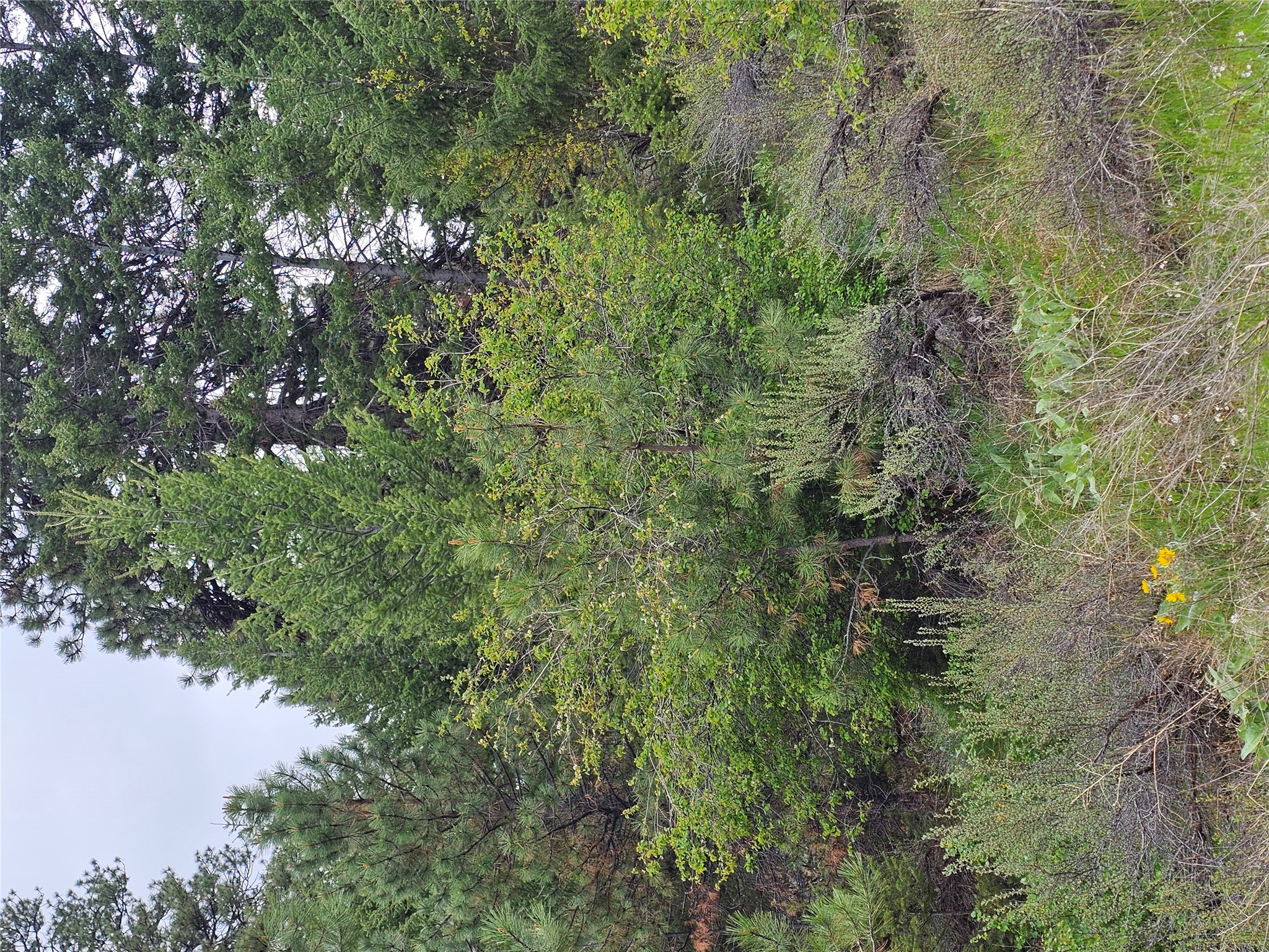 18866 Copper Ridge Trail Property Photo 21