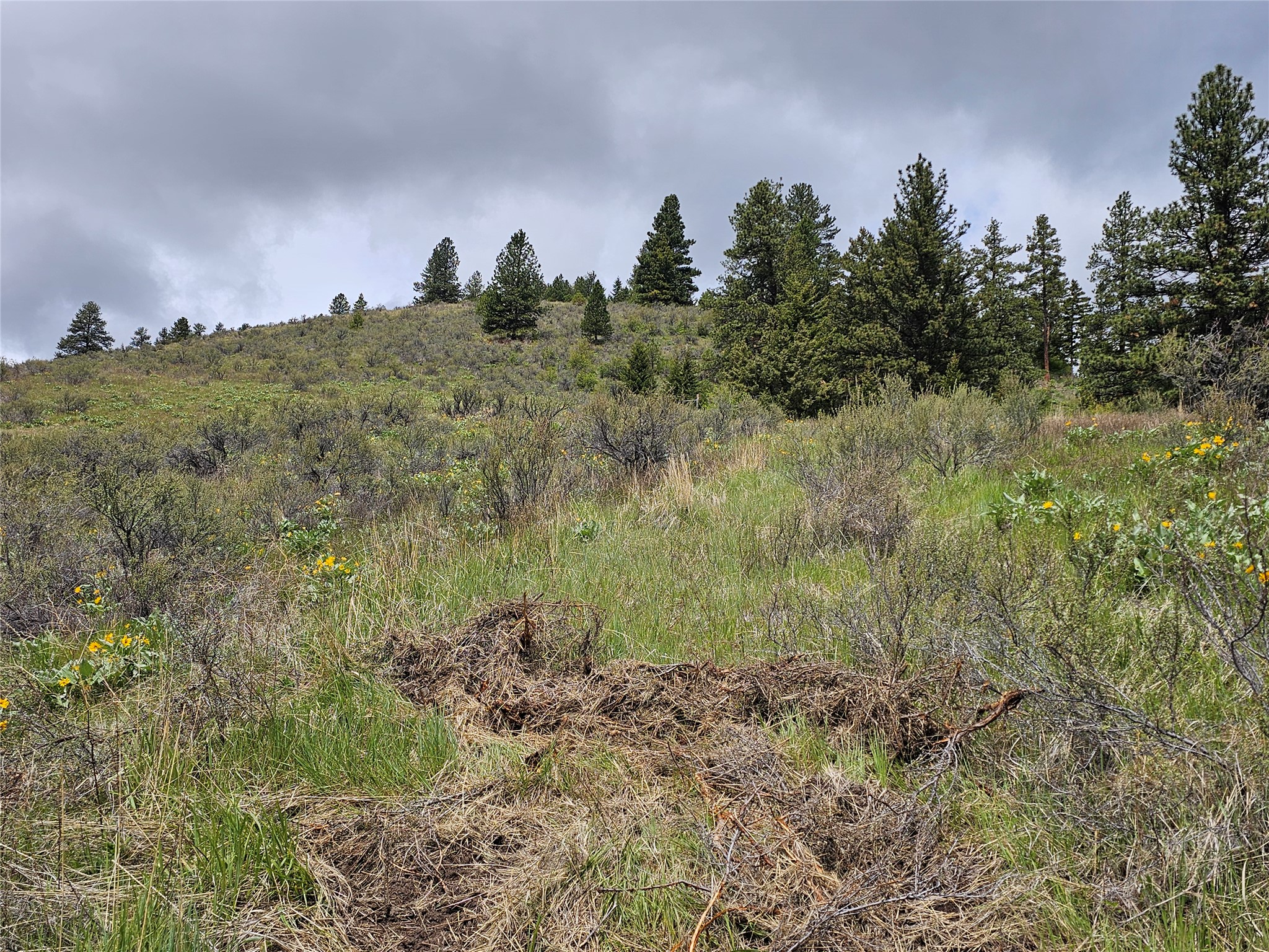 18866 Copper Ridge Trail Property Photo 25