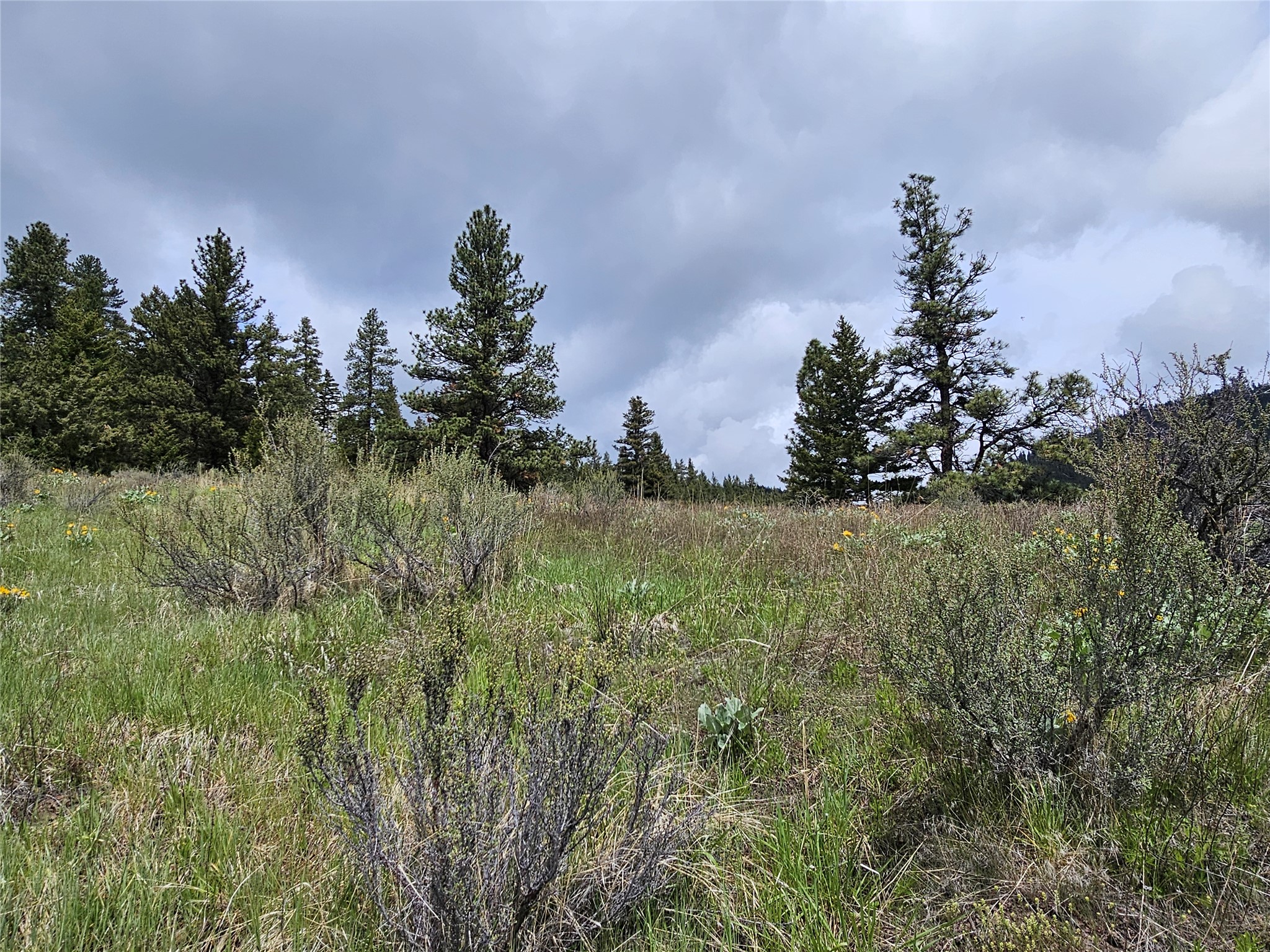 18866 Copper Ridge Trail Property Photo 26