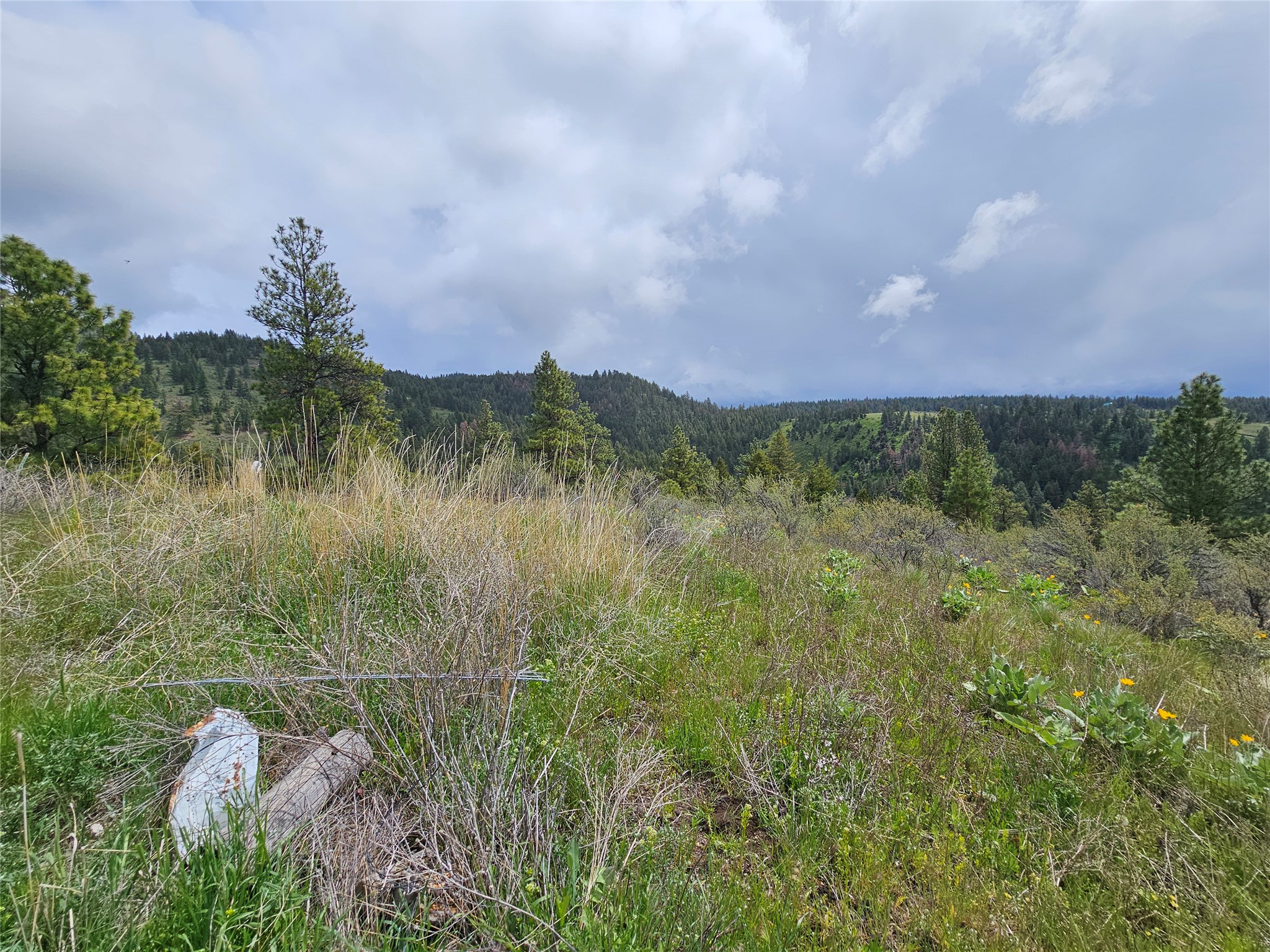 18866 Copper Ridge Trail Property Photo 27