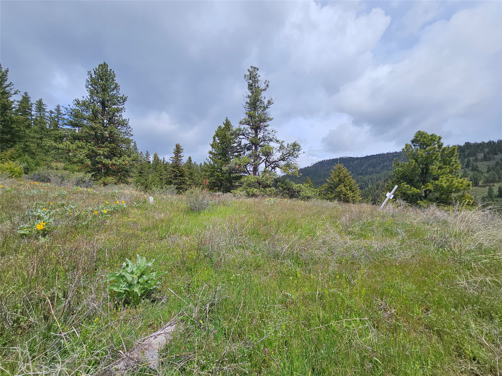 18866 Copper Ridge Trail Property Photo 28