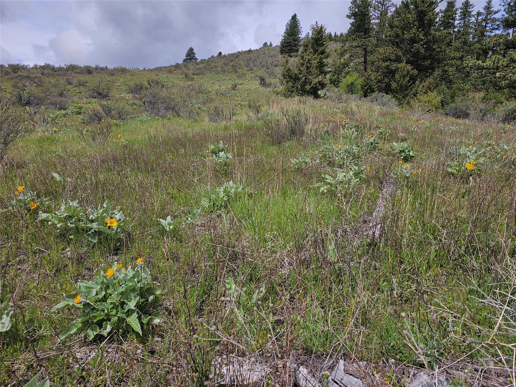 18866 Copper Ridge Trail Property Photo 29