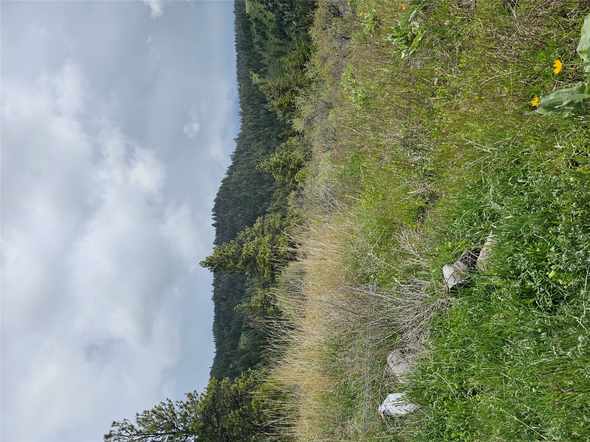 18866 Copper Ridge Trail Property Photo 30