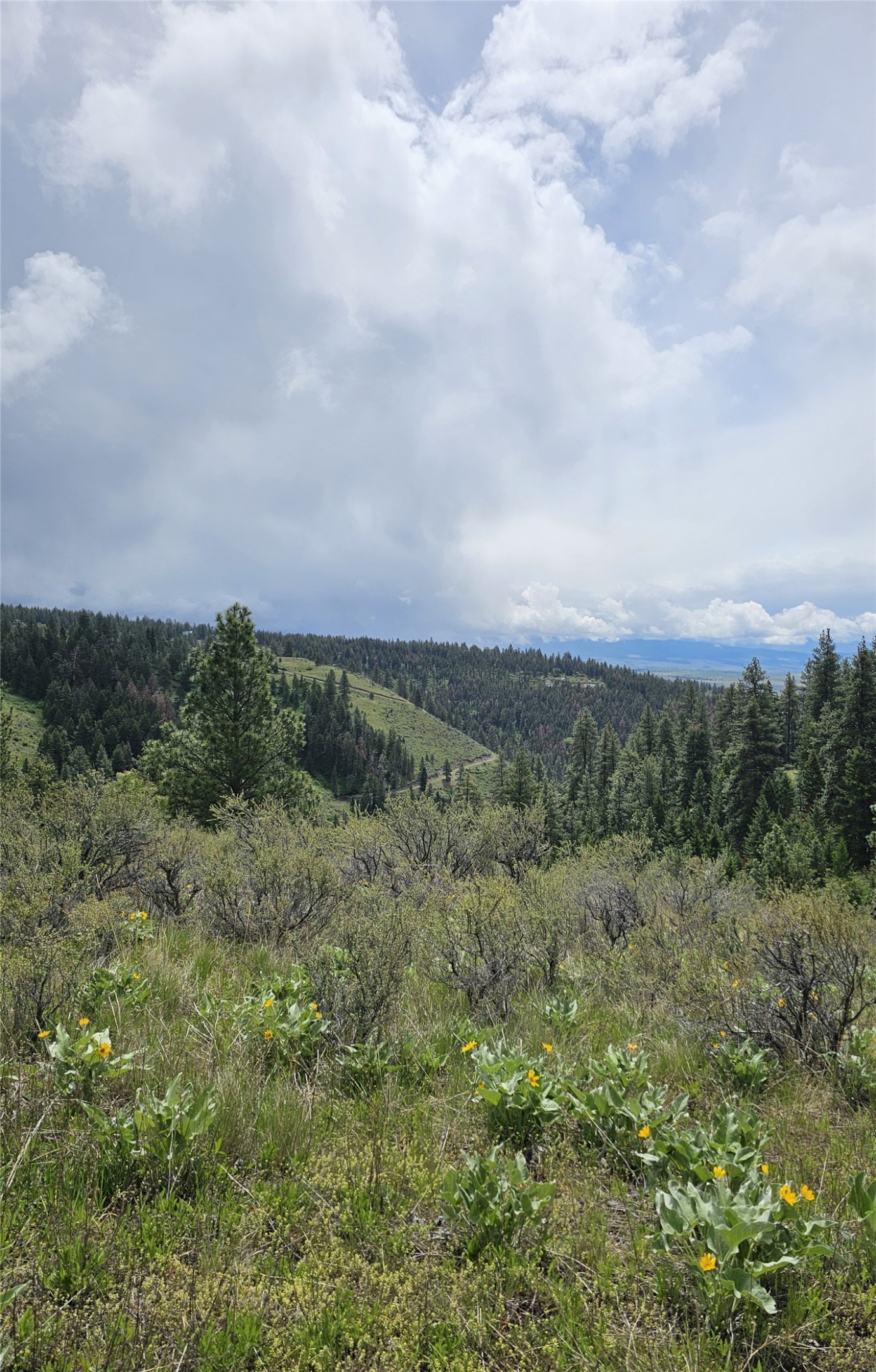 18866 Copper Ridge Trail Property Photo 31