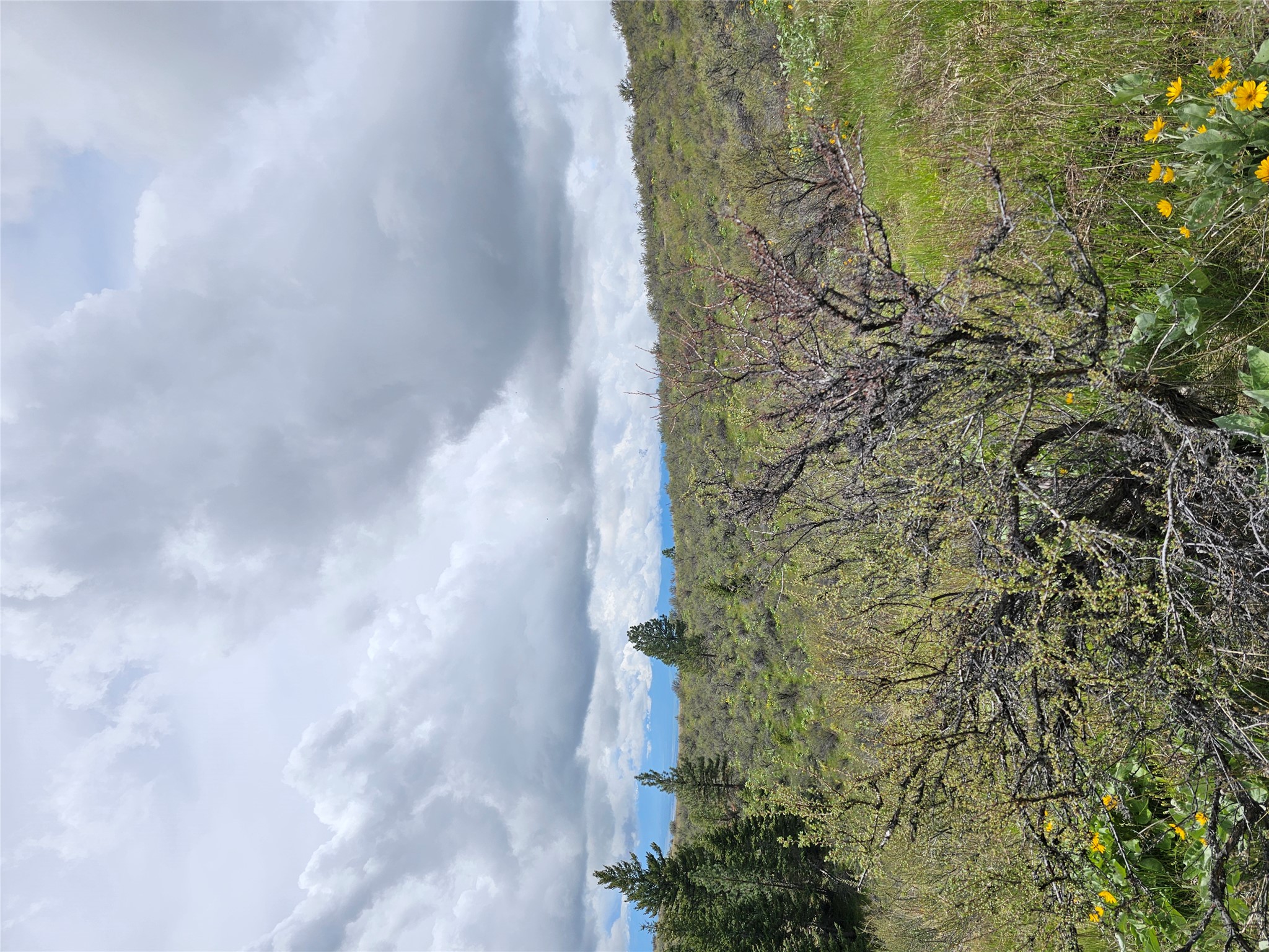 18866 Copper Ridge Trail Property Photo 32