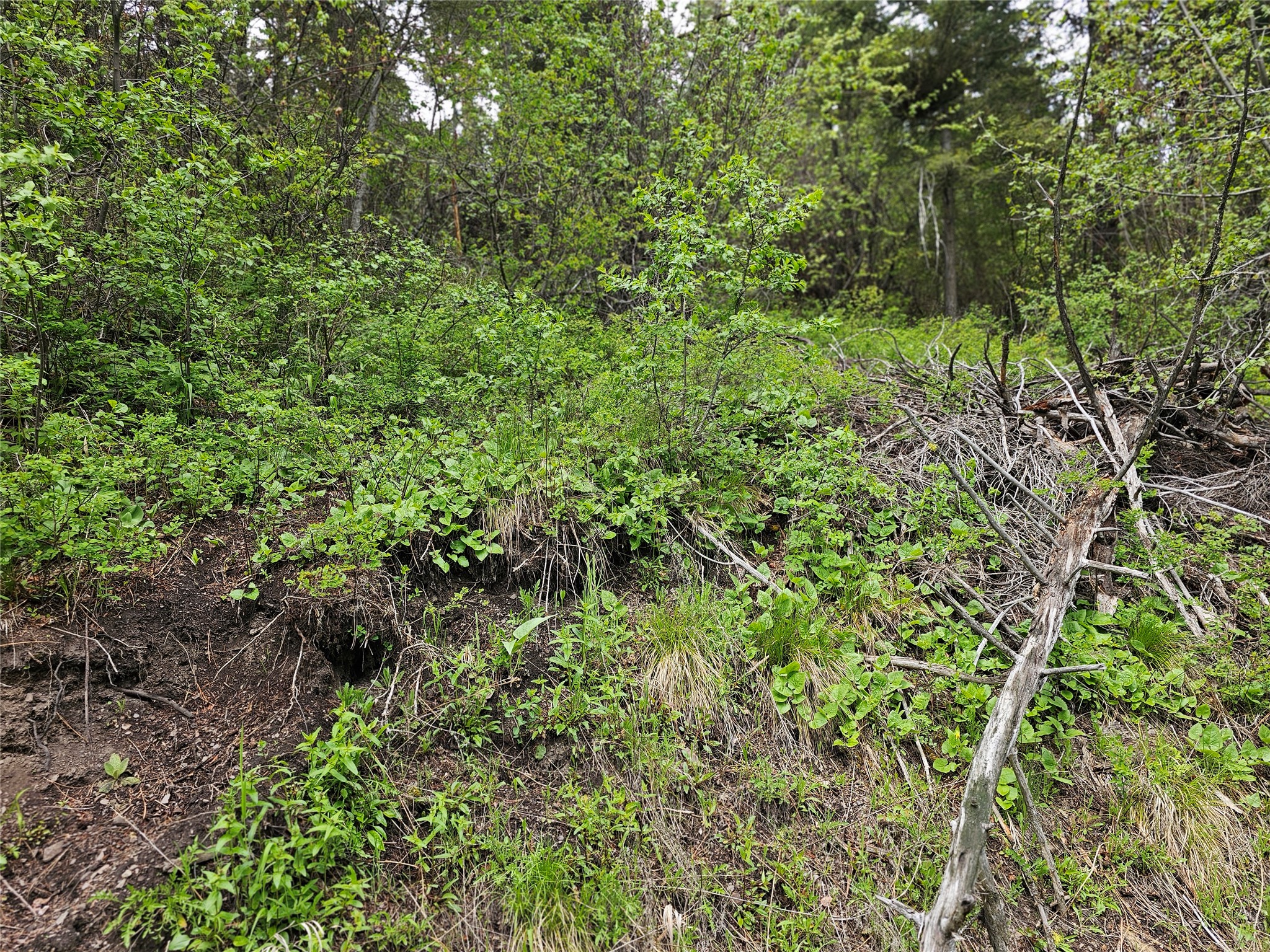 18866 Copper Ridge Trail Property Photo 36
