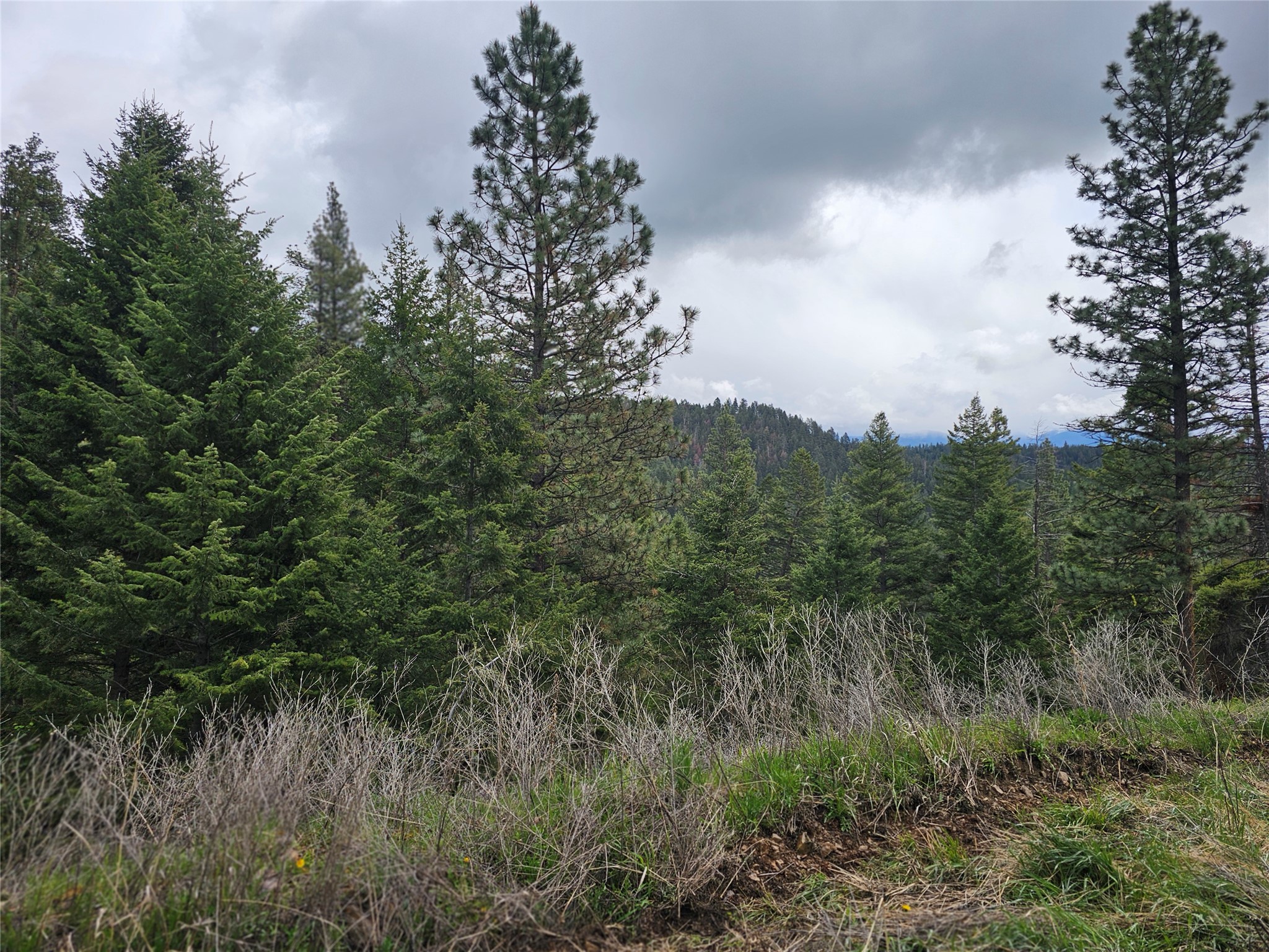 18866 Copper Ridge Trail Property Photo 37