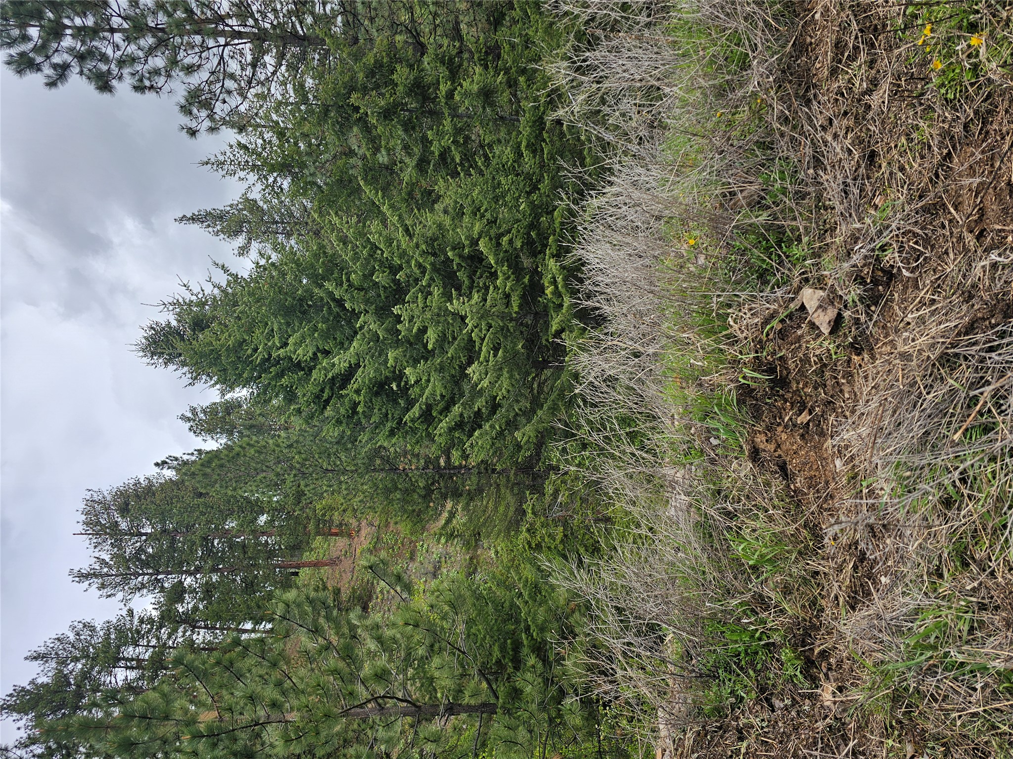 18866 Copper Ridge Trail Property Photo 38