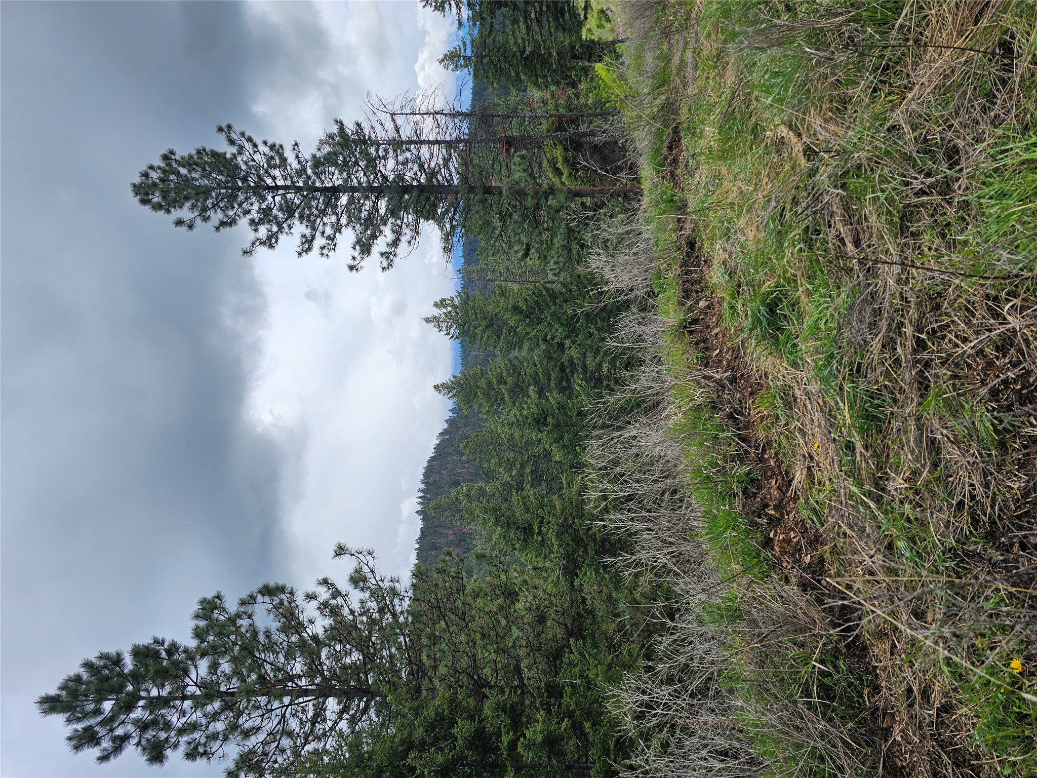 18866 Copper Ridge Trail Property Photo 39