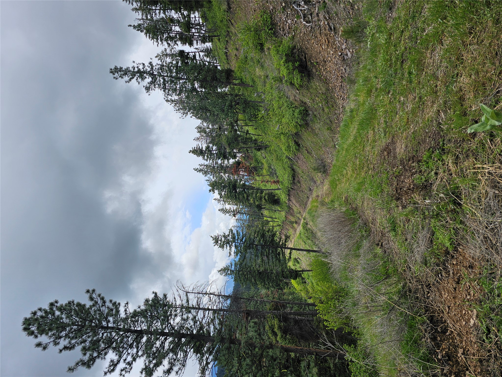 18866 Copper Ridge Trail Property Photo 40