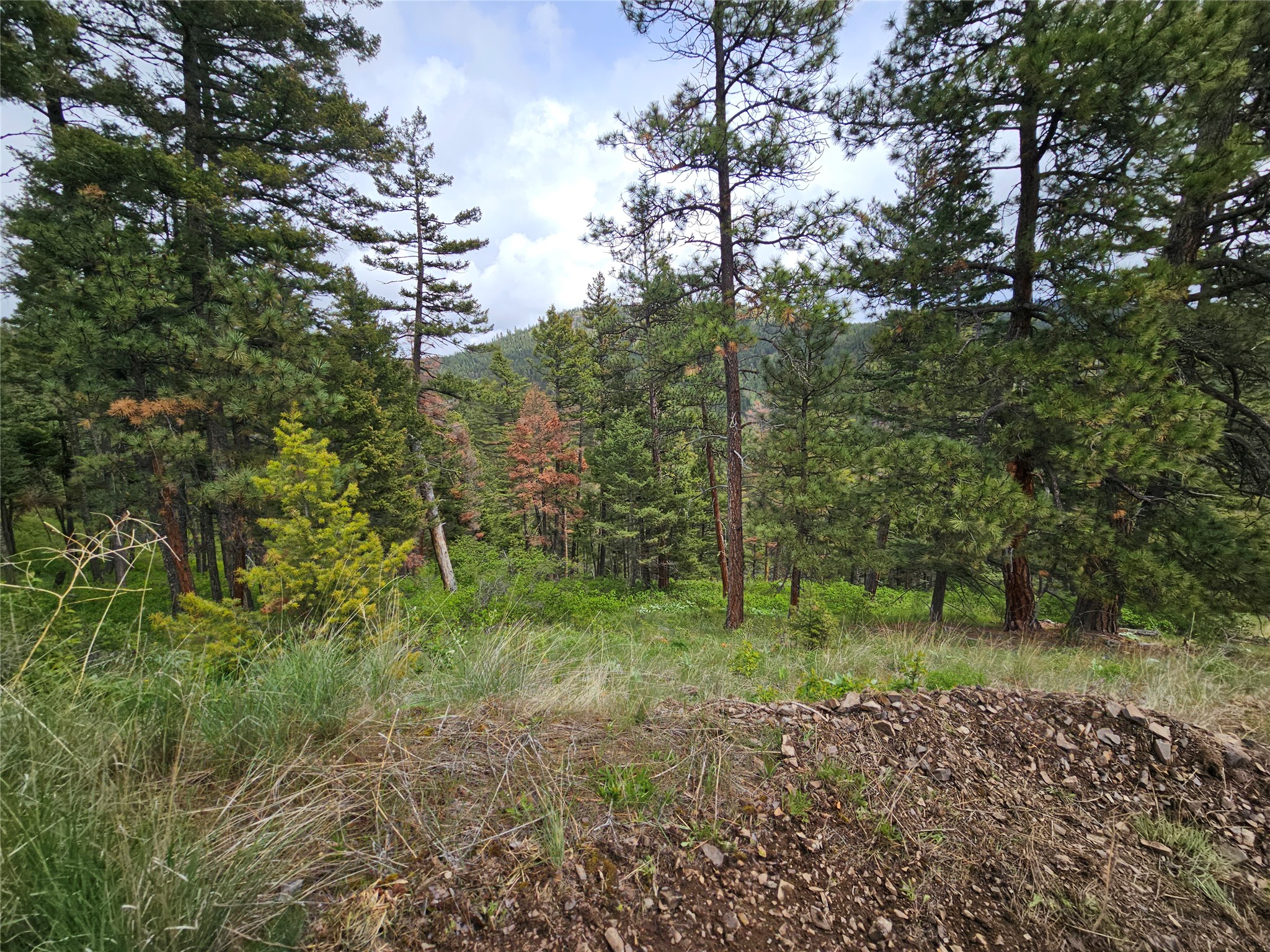18866 Copper Ridge Trail Property Photo 41