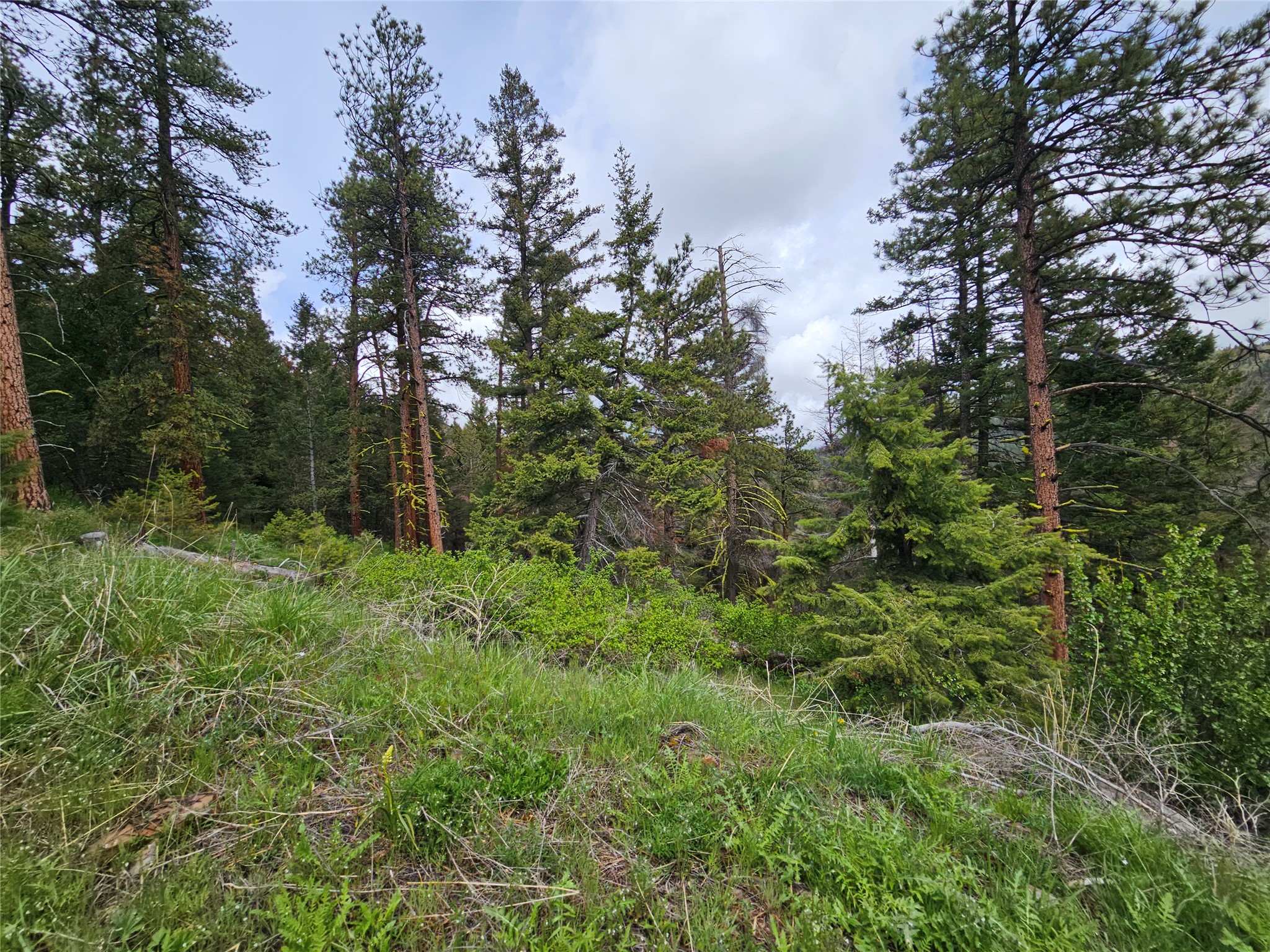 18866 Copper Ridge Trail Property Photo 42