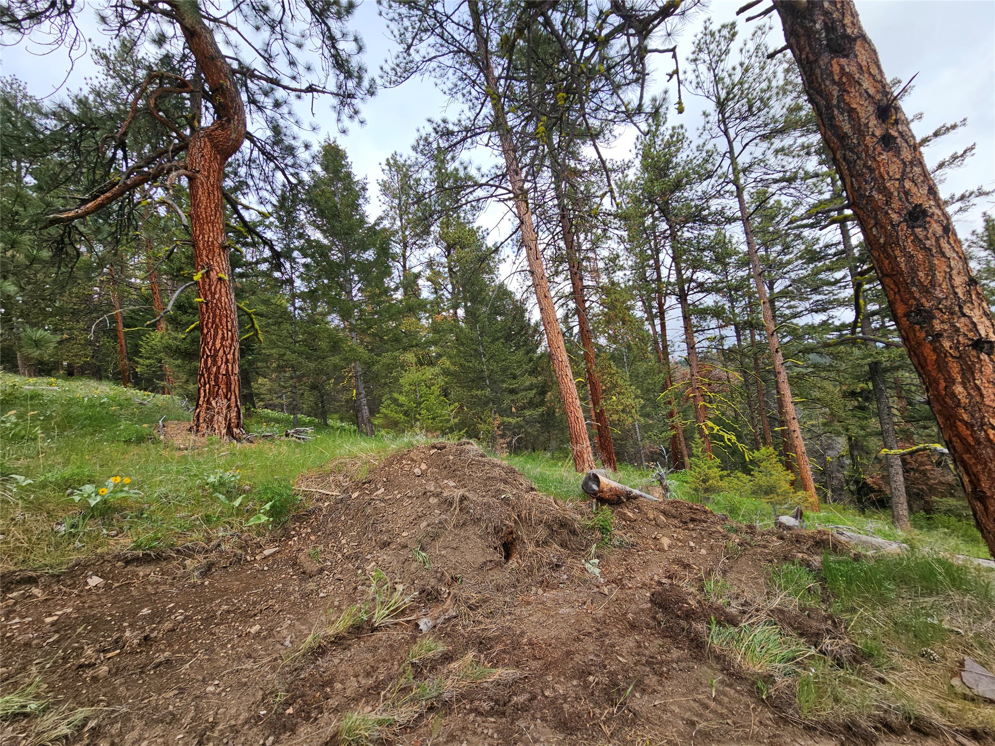 18866 Copper Ridge Trail Property Photo 43